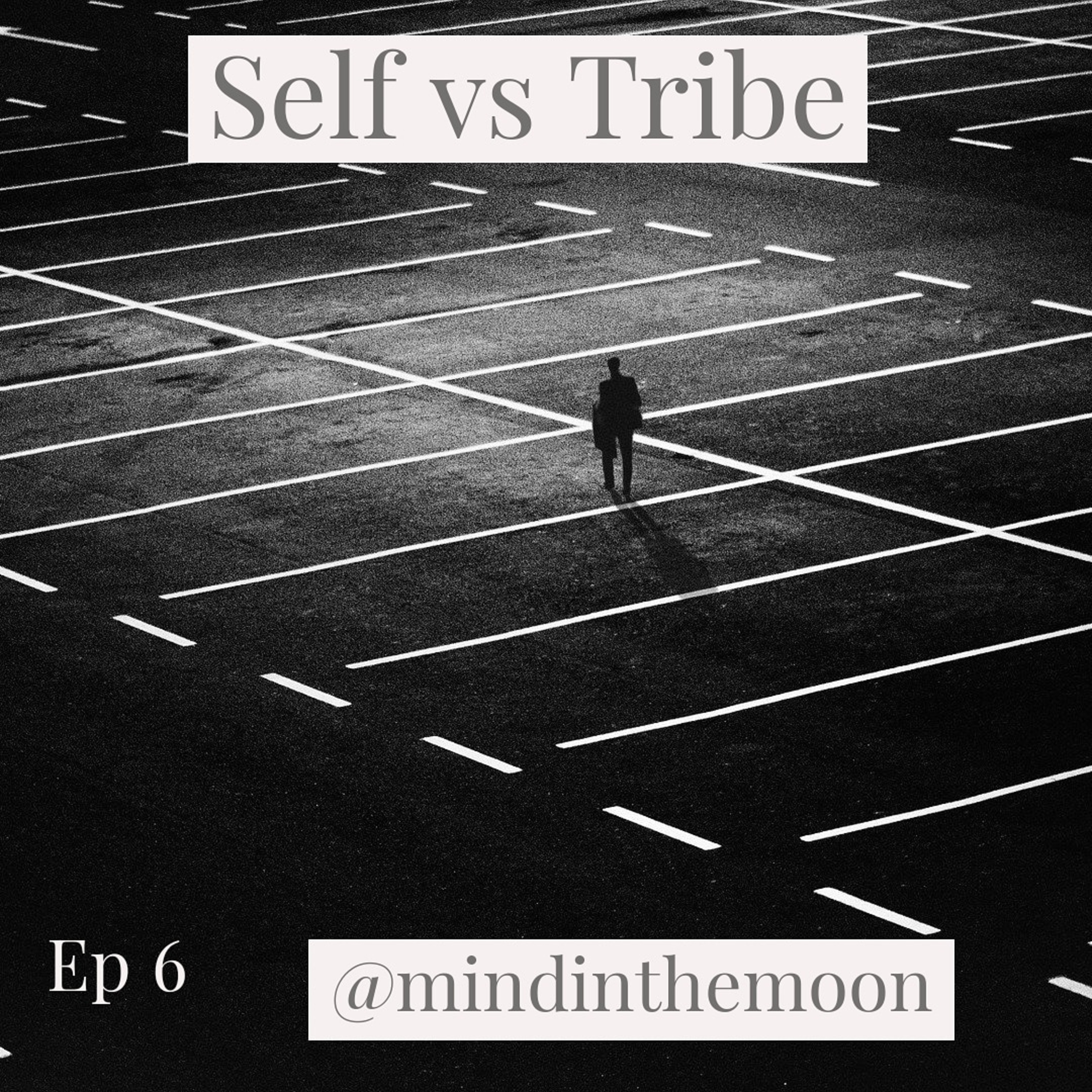 Self vs Tribe episode artwork