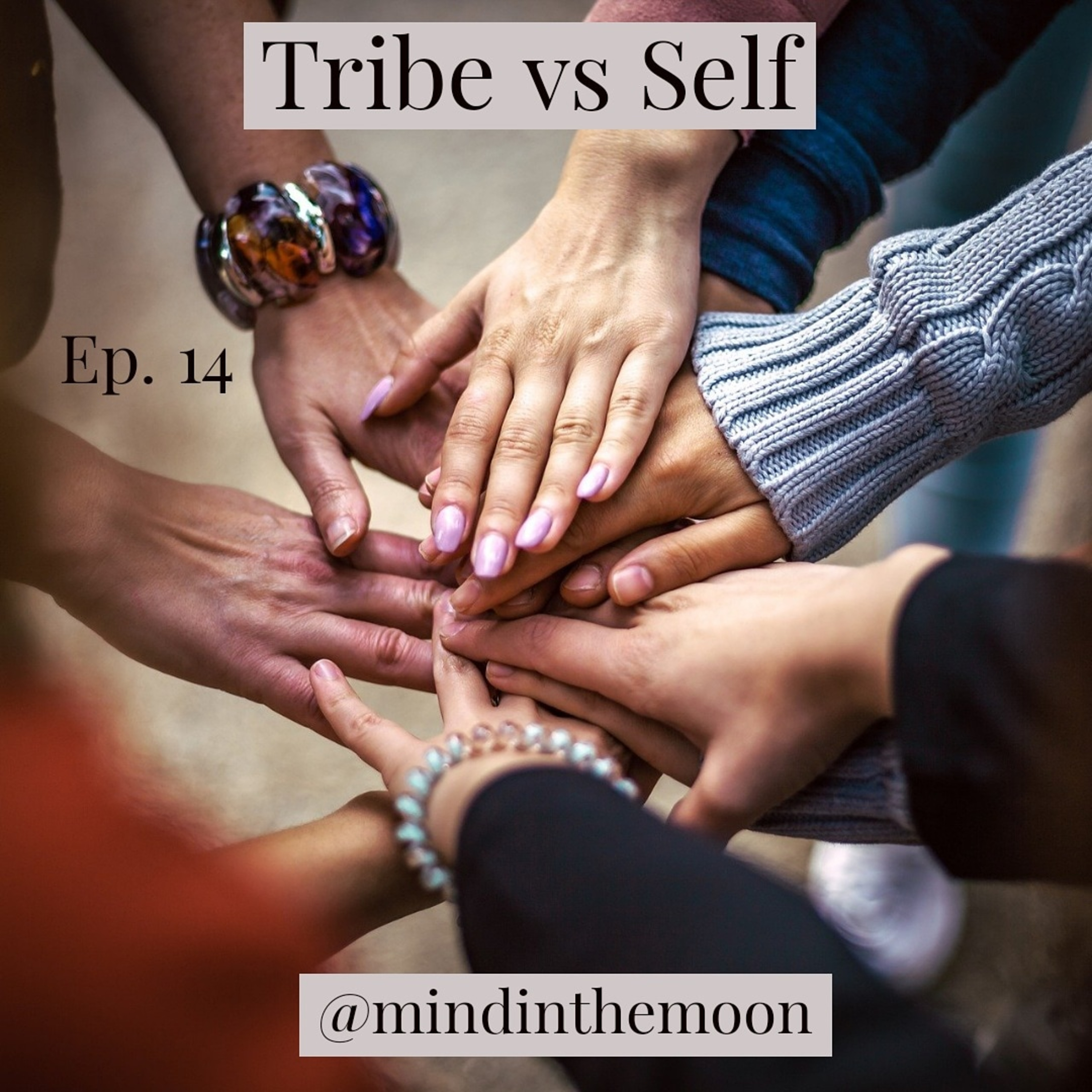 Tribe vs Self episode artwork