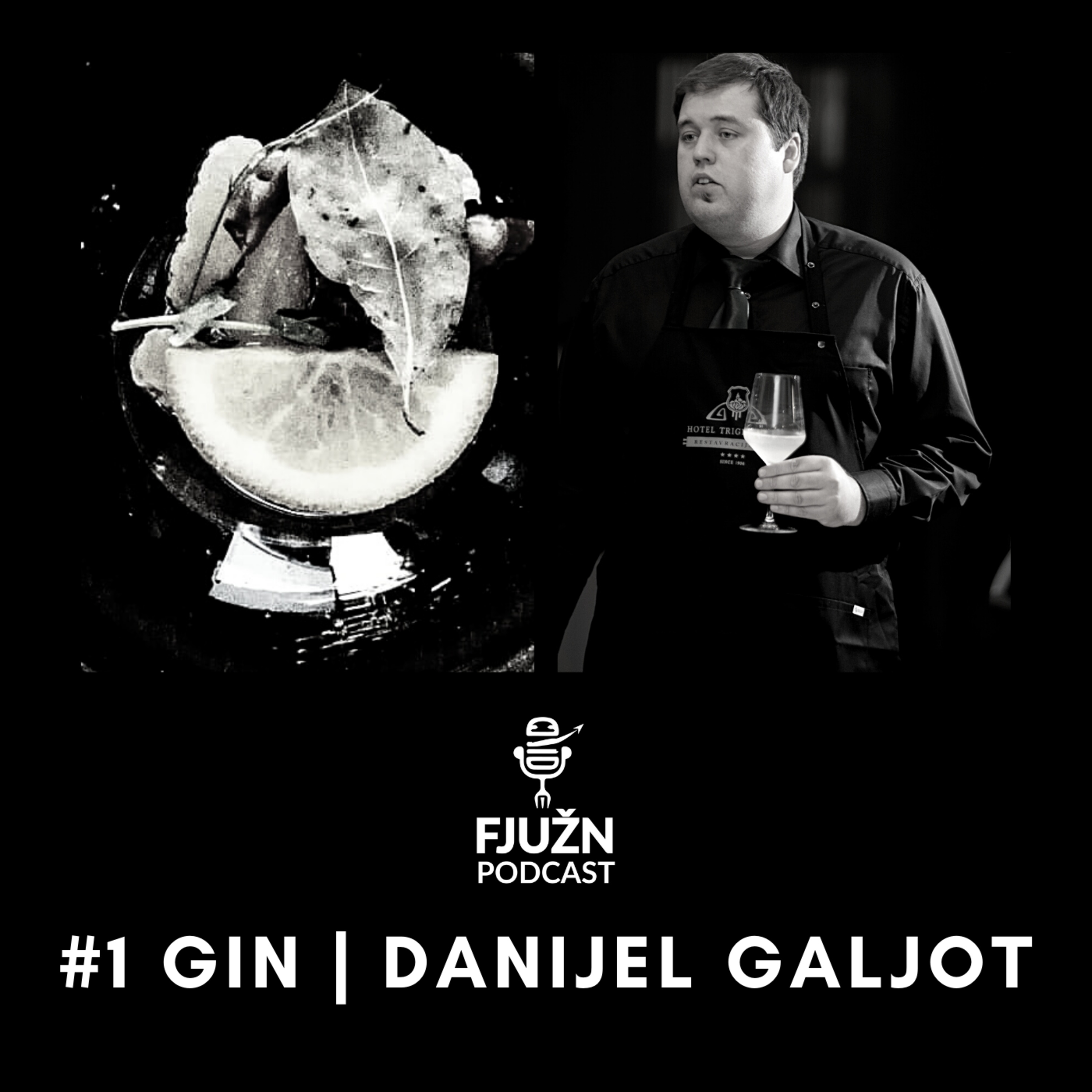 #1 GIN | Danijel Galjot episode artwork