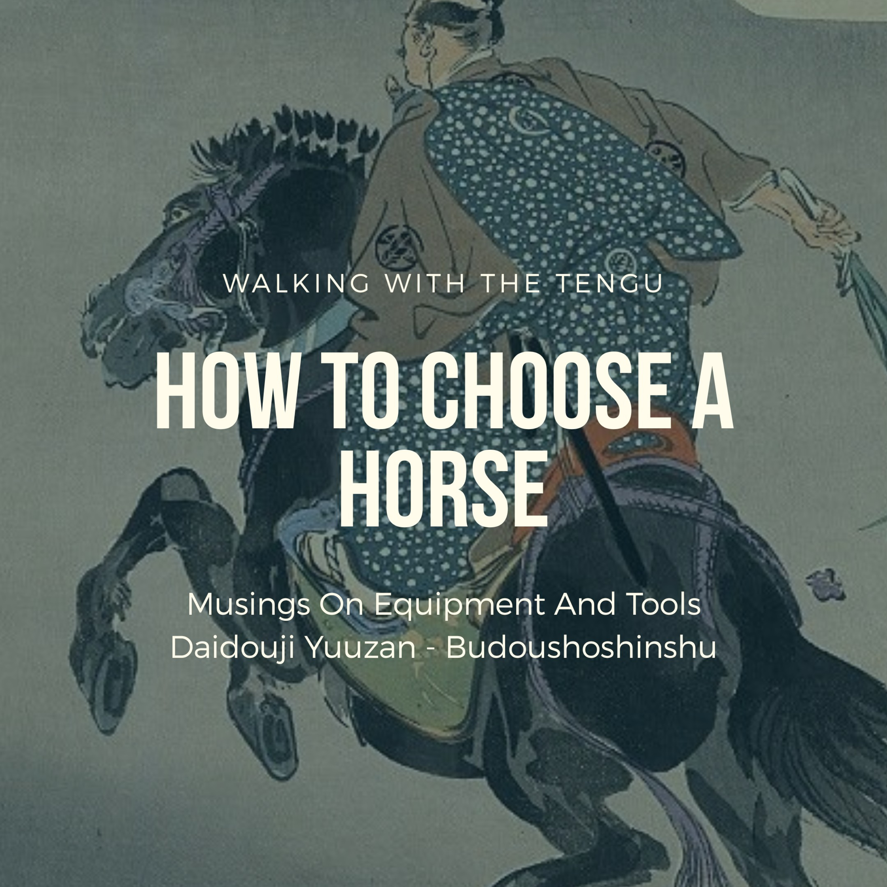 Budoushoshinshu: How To Choose A Horse episode artwork