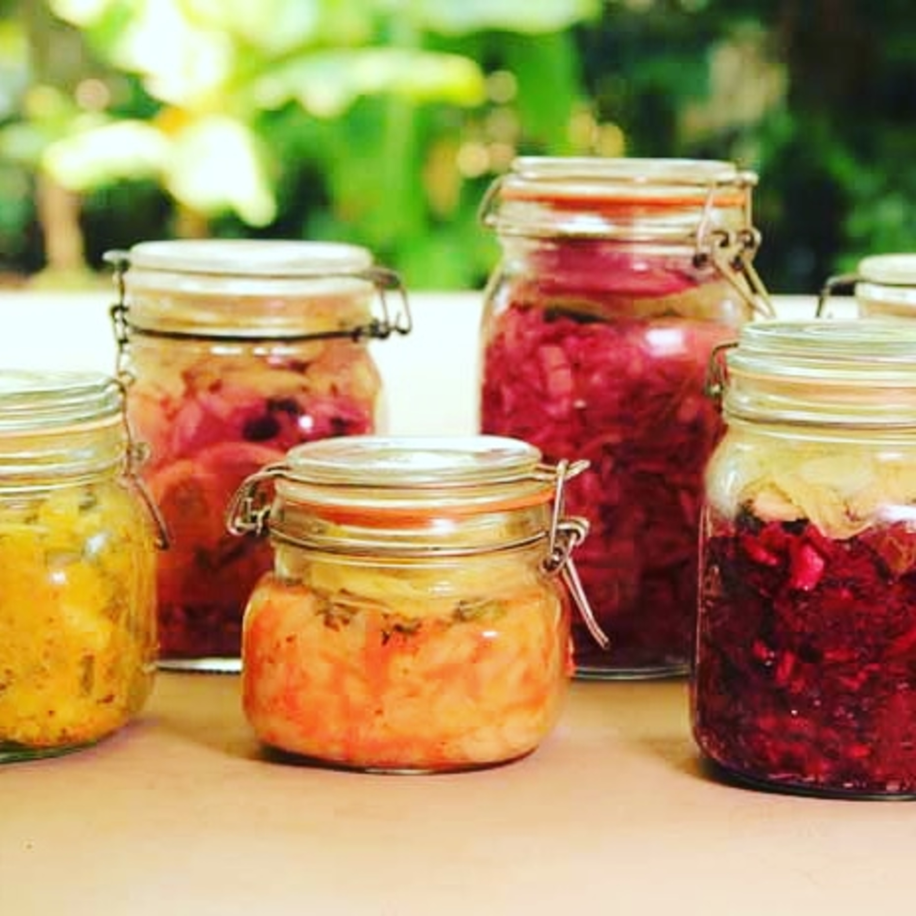 Fermented Veggies episode artwork