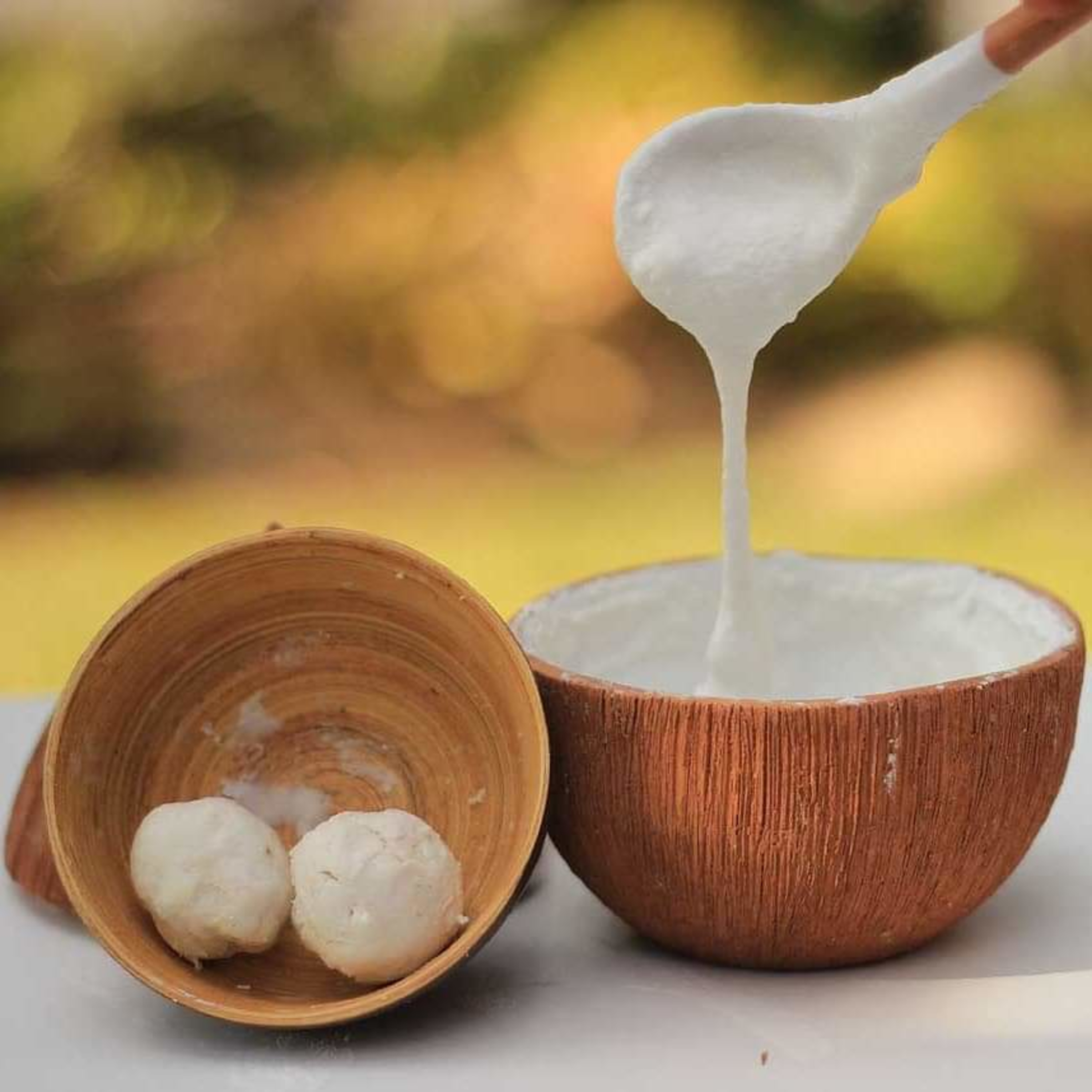 Fermented coconut episode artwork