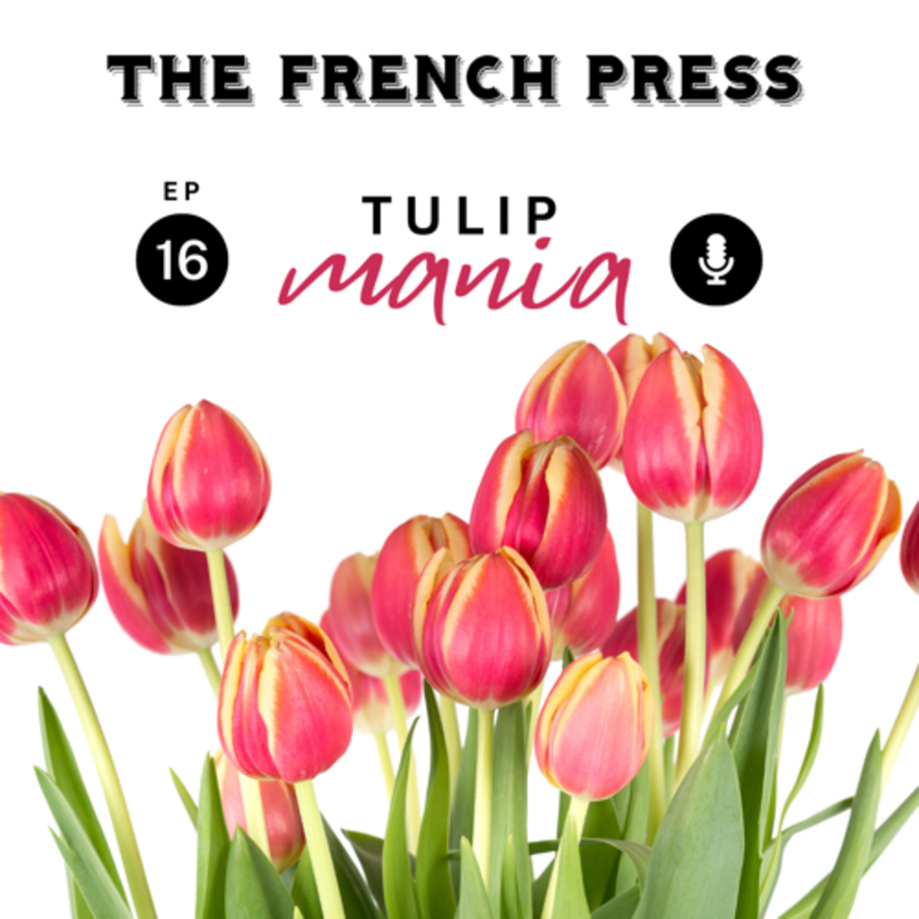 The French Press