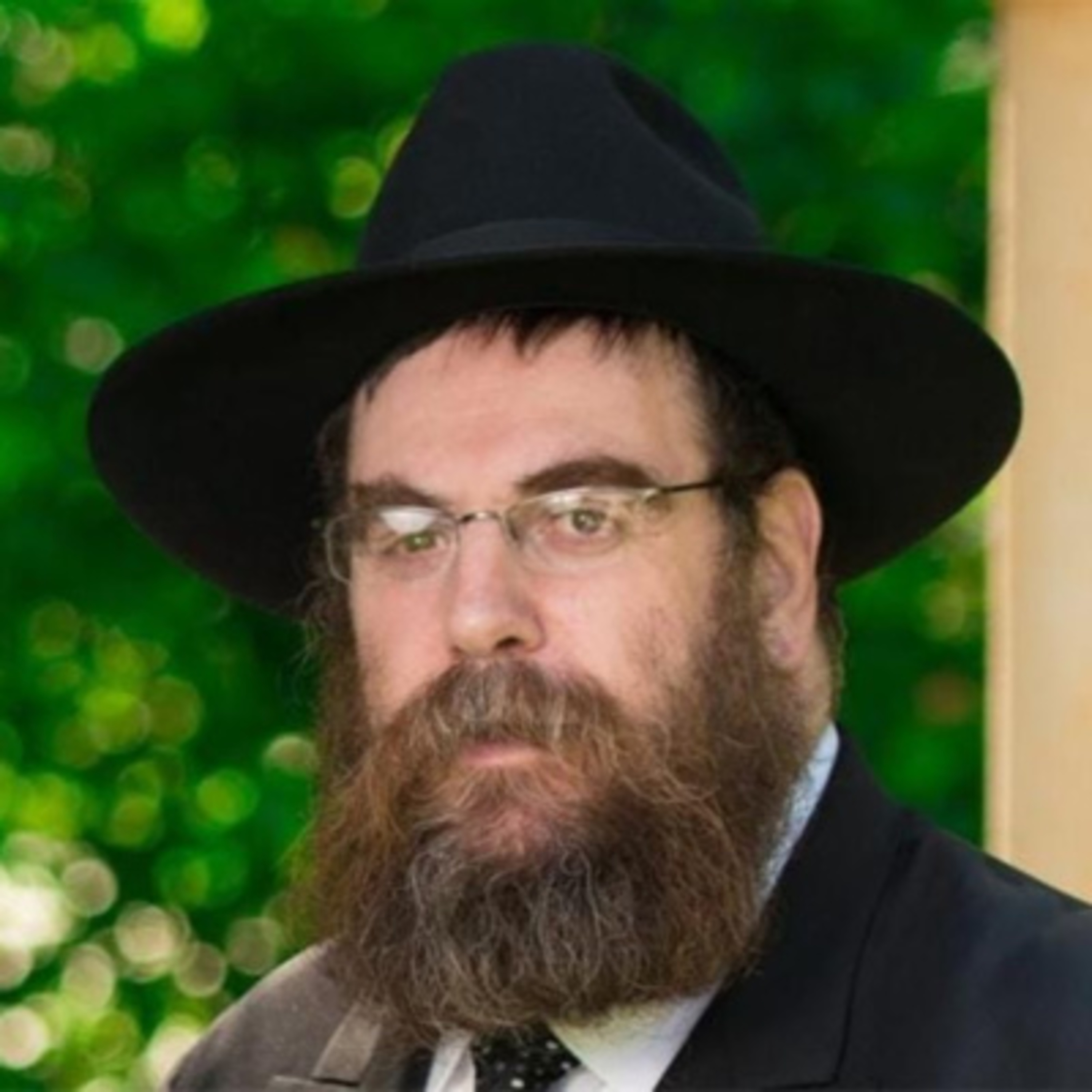 Noach’s Ark - Every Detail in Torah has a Meaning - Rabbi Dovid Dubov - From the Rebbes Father episode artwork