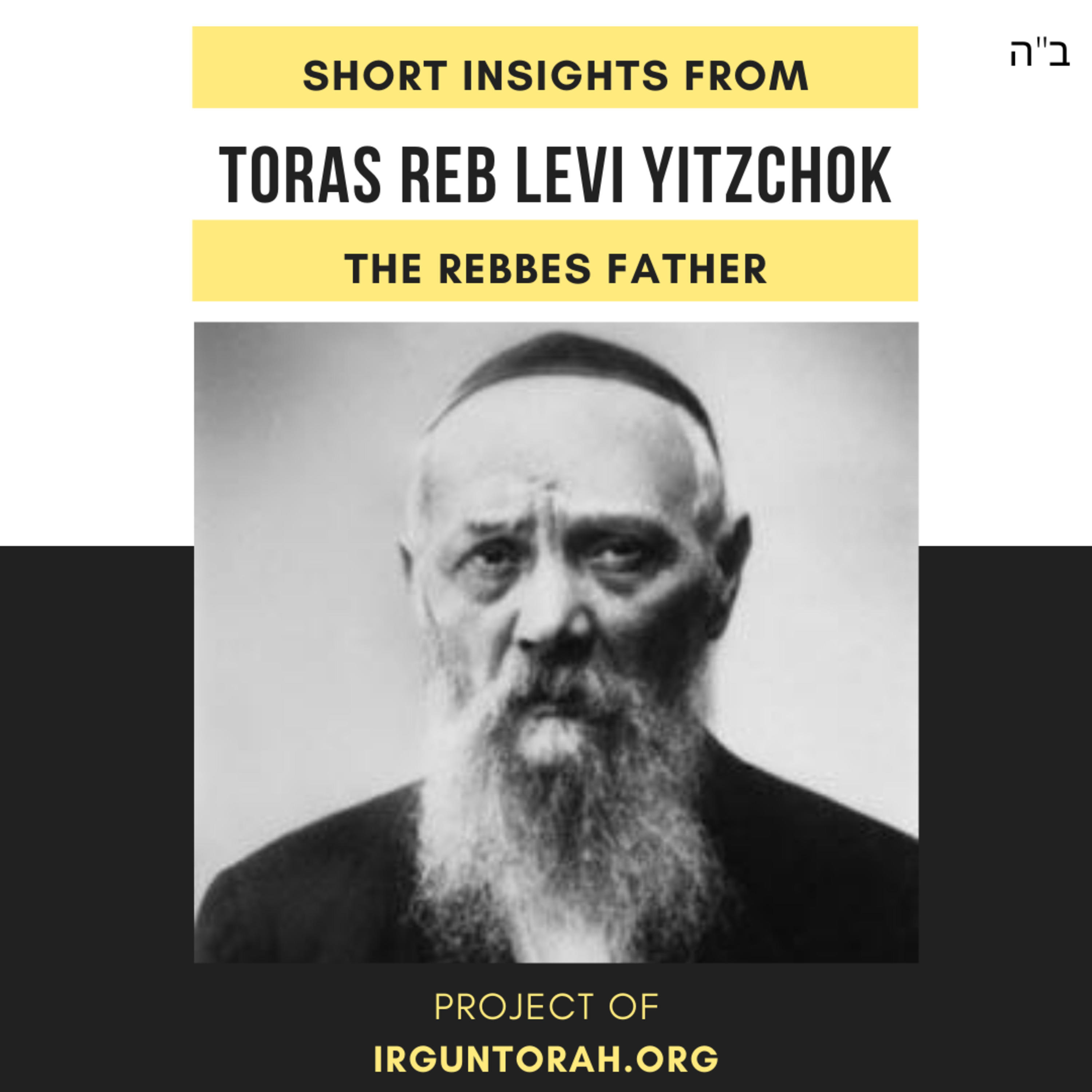 Parshas נח - Rabbi Dovid Dubov - From the Rebbe’s Father Reb Levi Yitzchok זצ״ל episode artwork