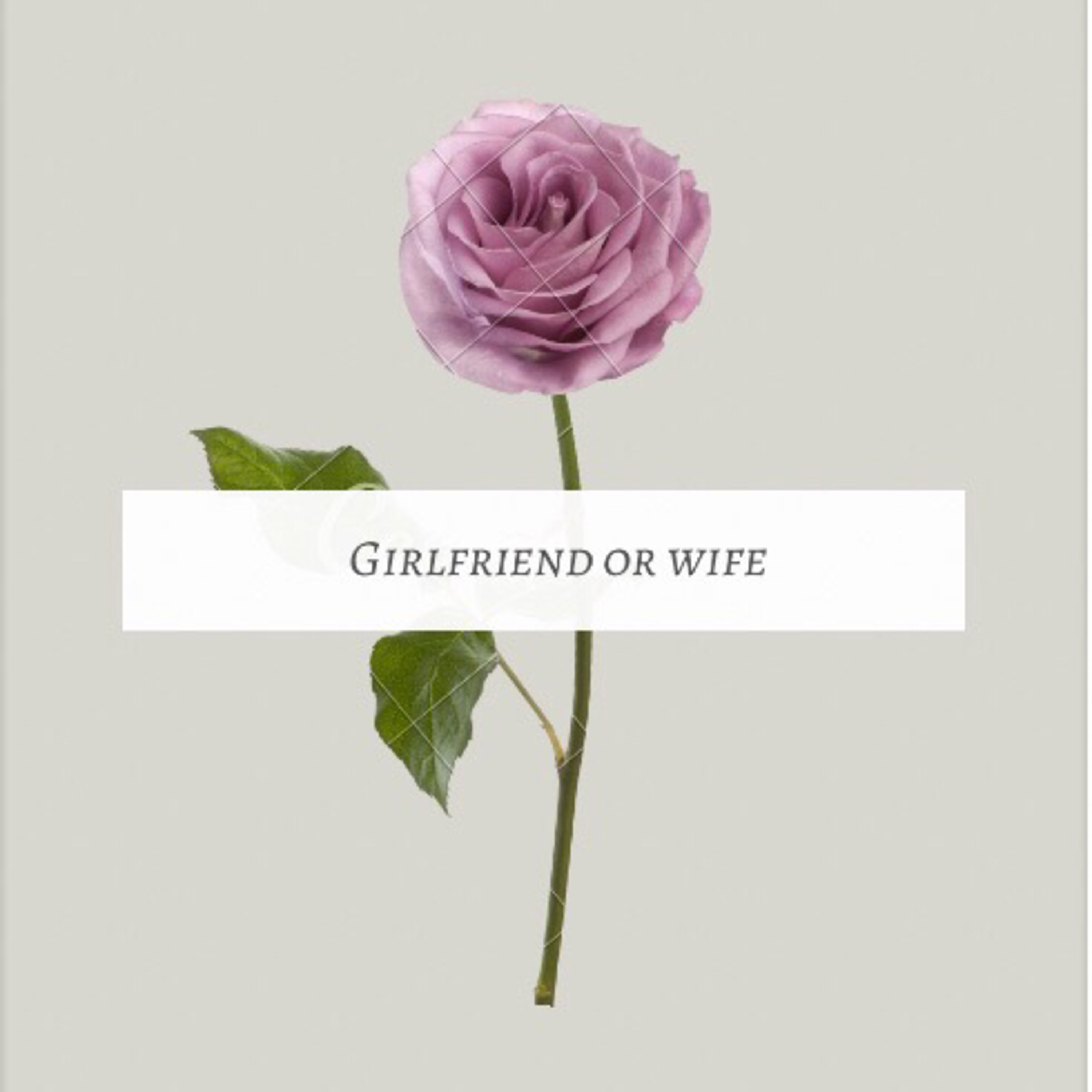 Girlfriend or Wife? 