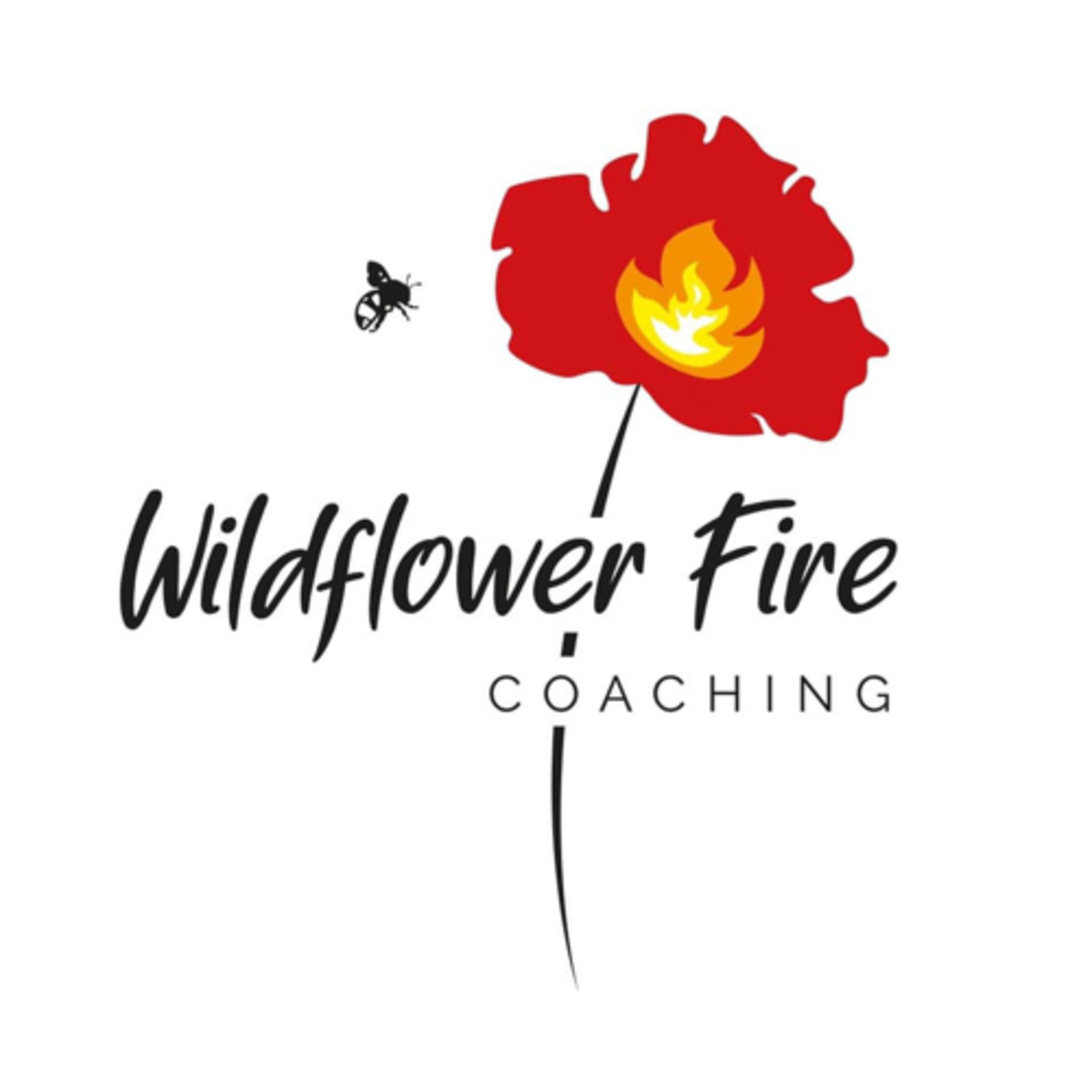 The Knackered Women’s Club