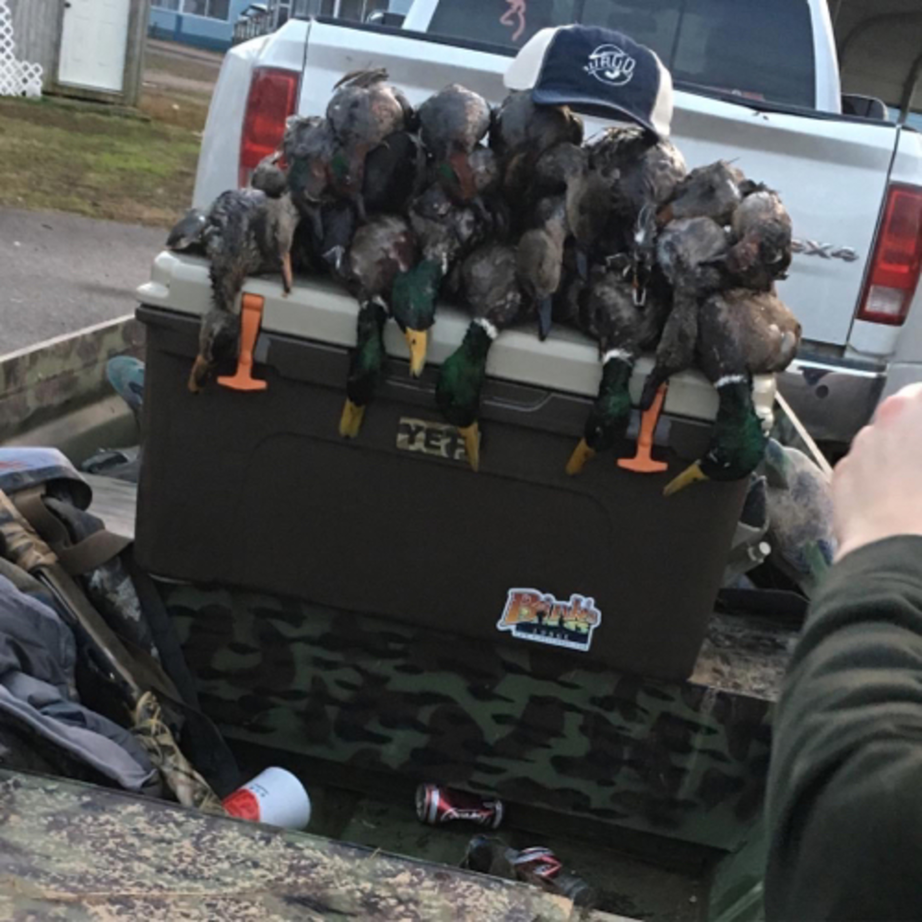 Ducks, bucks and living out our dreams