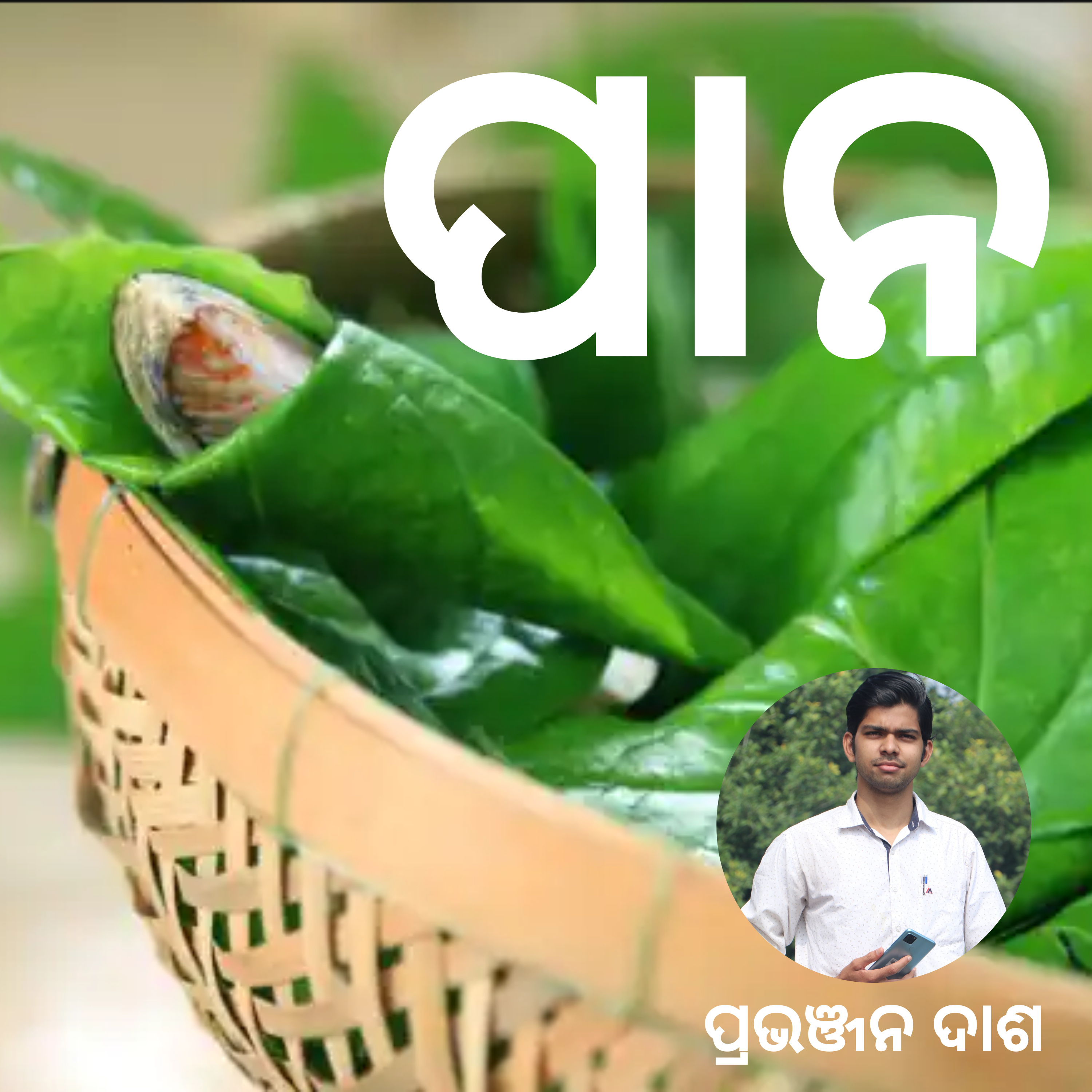 ପାନ : Short story by Pravanjan Dash episode artwork