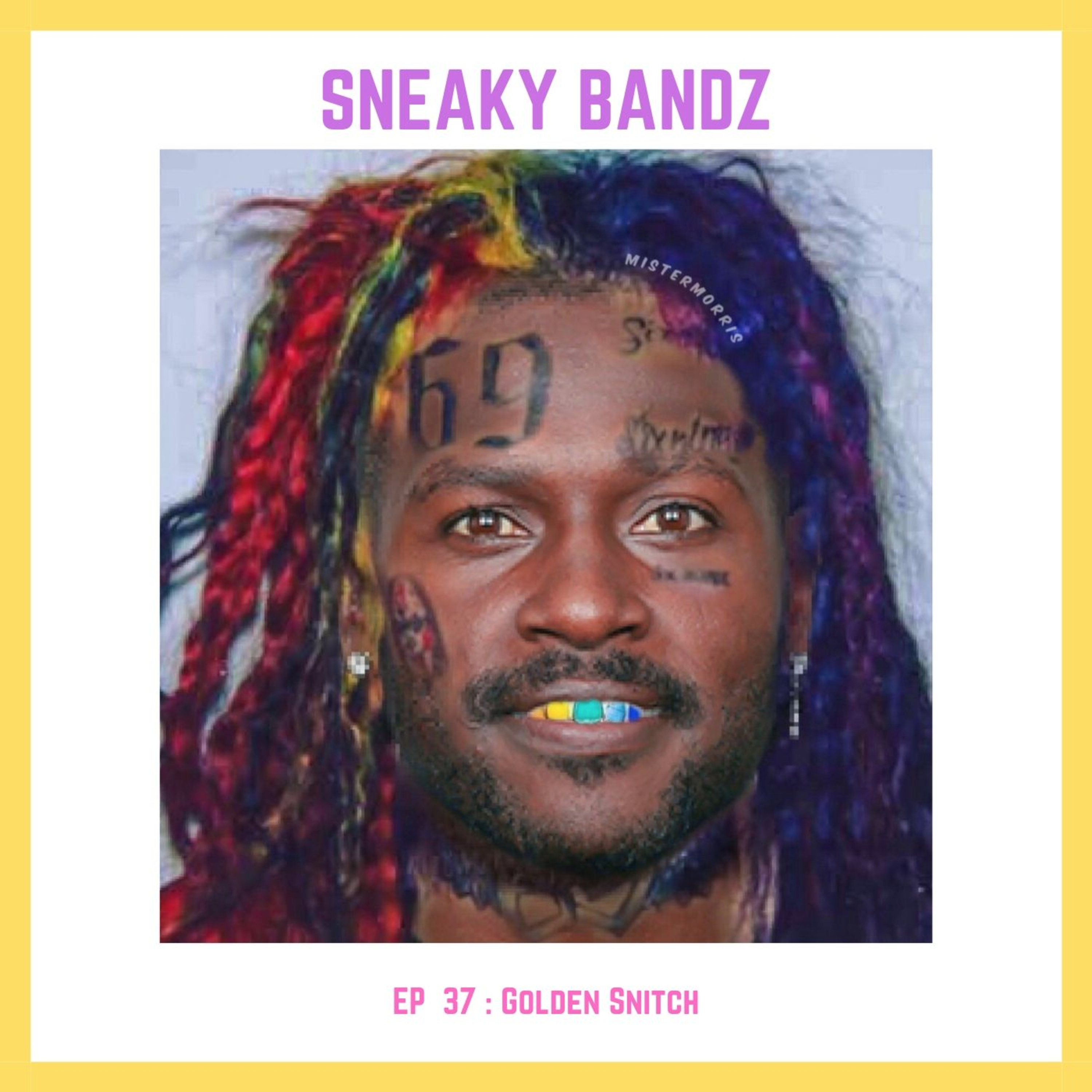 Ep. 37 : Golden Snitch