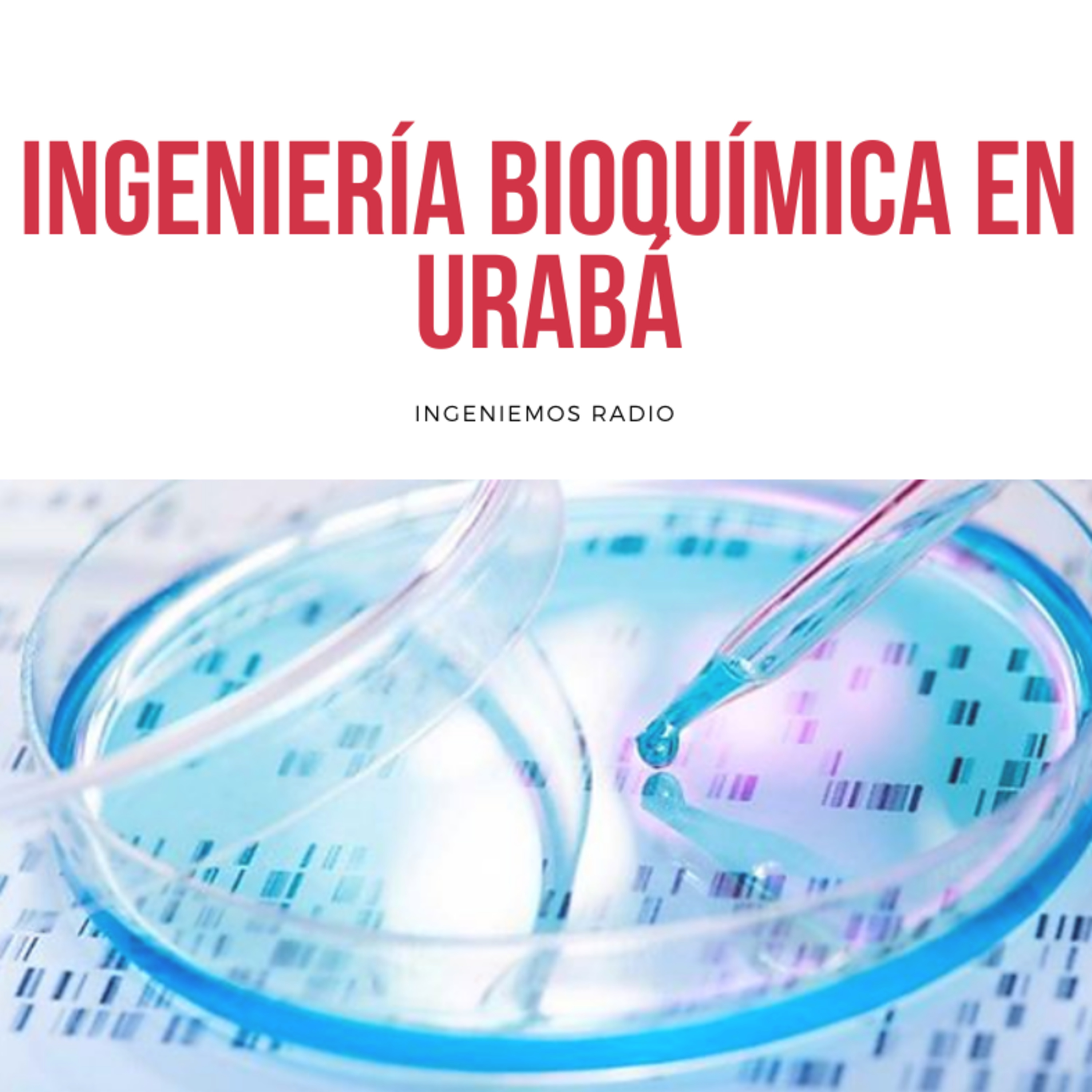 Ingeniemos Radio