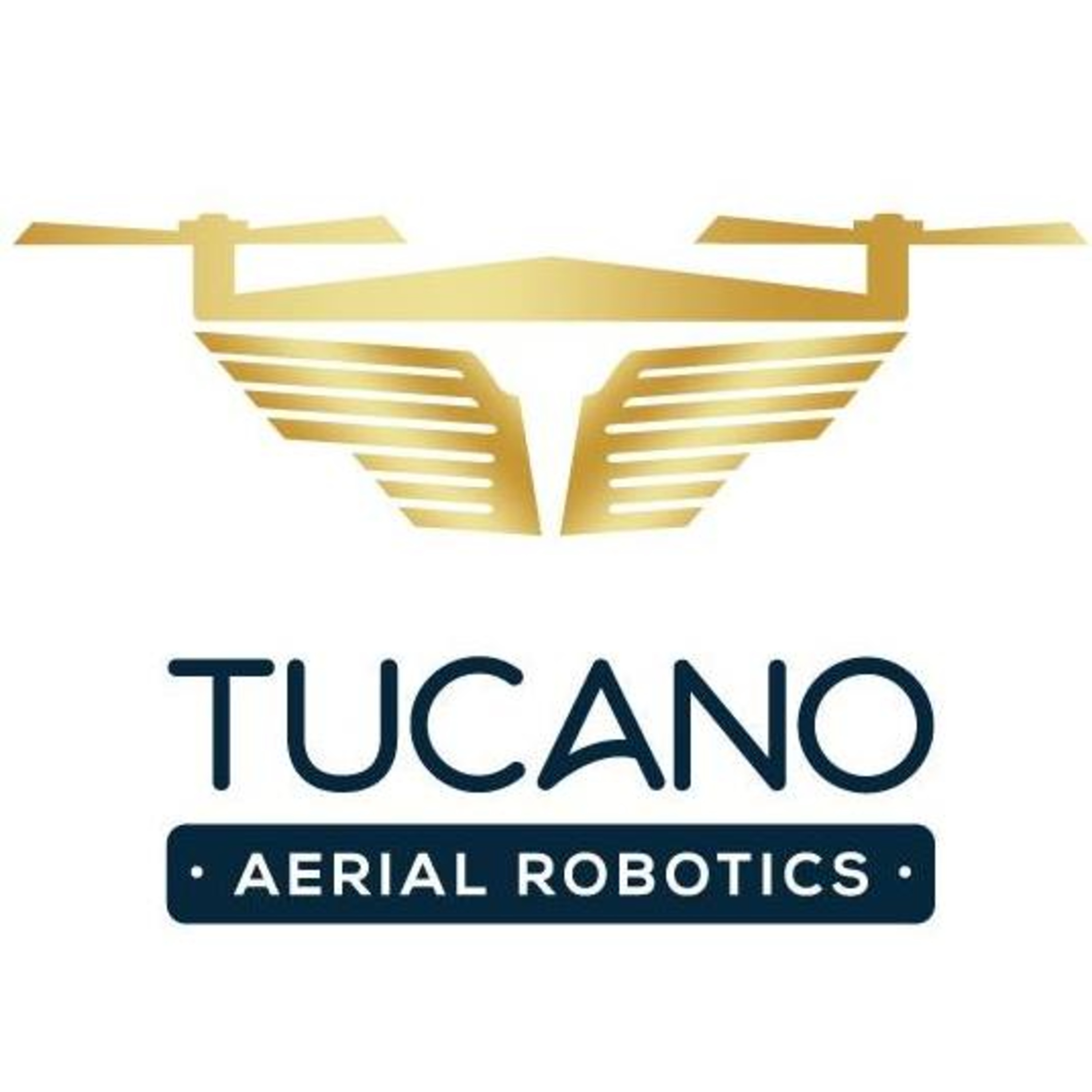 Ingeniemos Radio