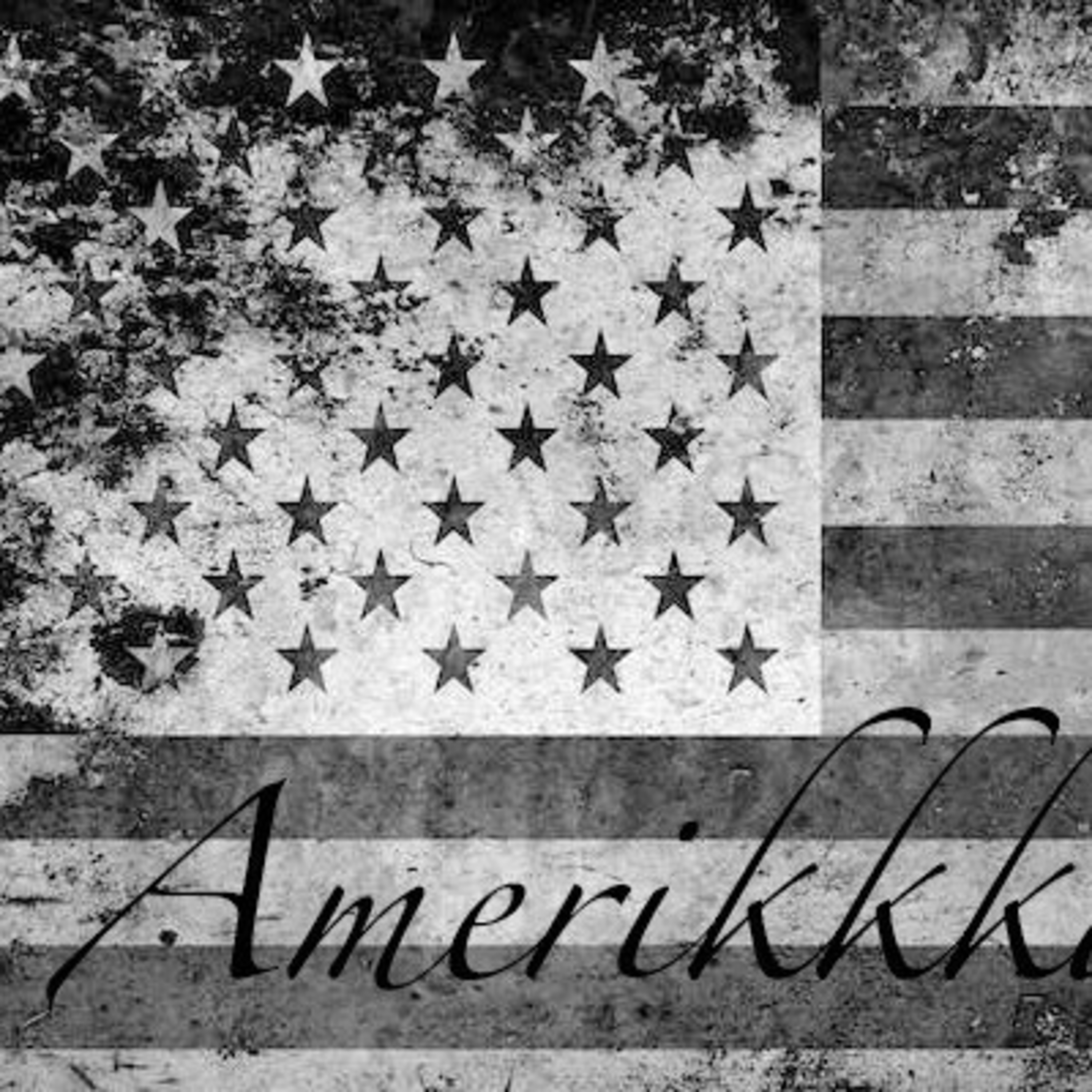 Amerikkkan Tour: Education!