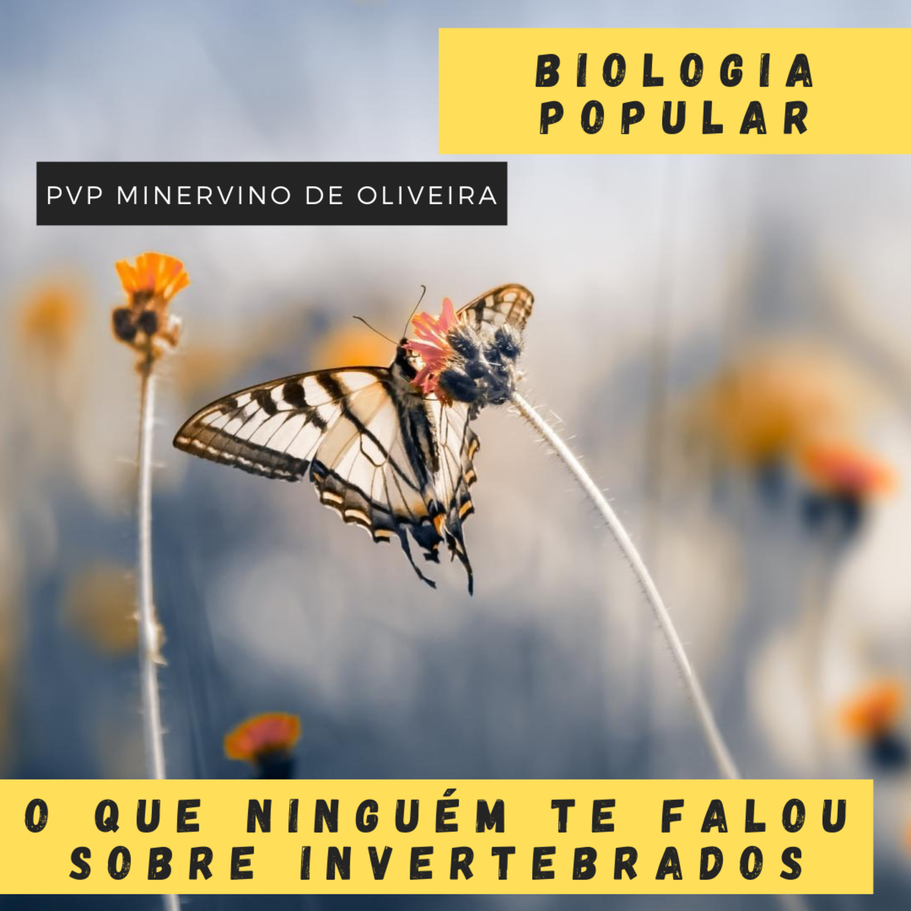 PVP Minervino de Oliveira