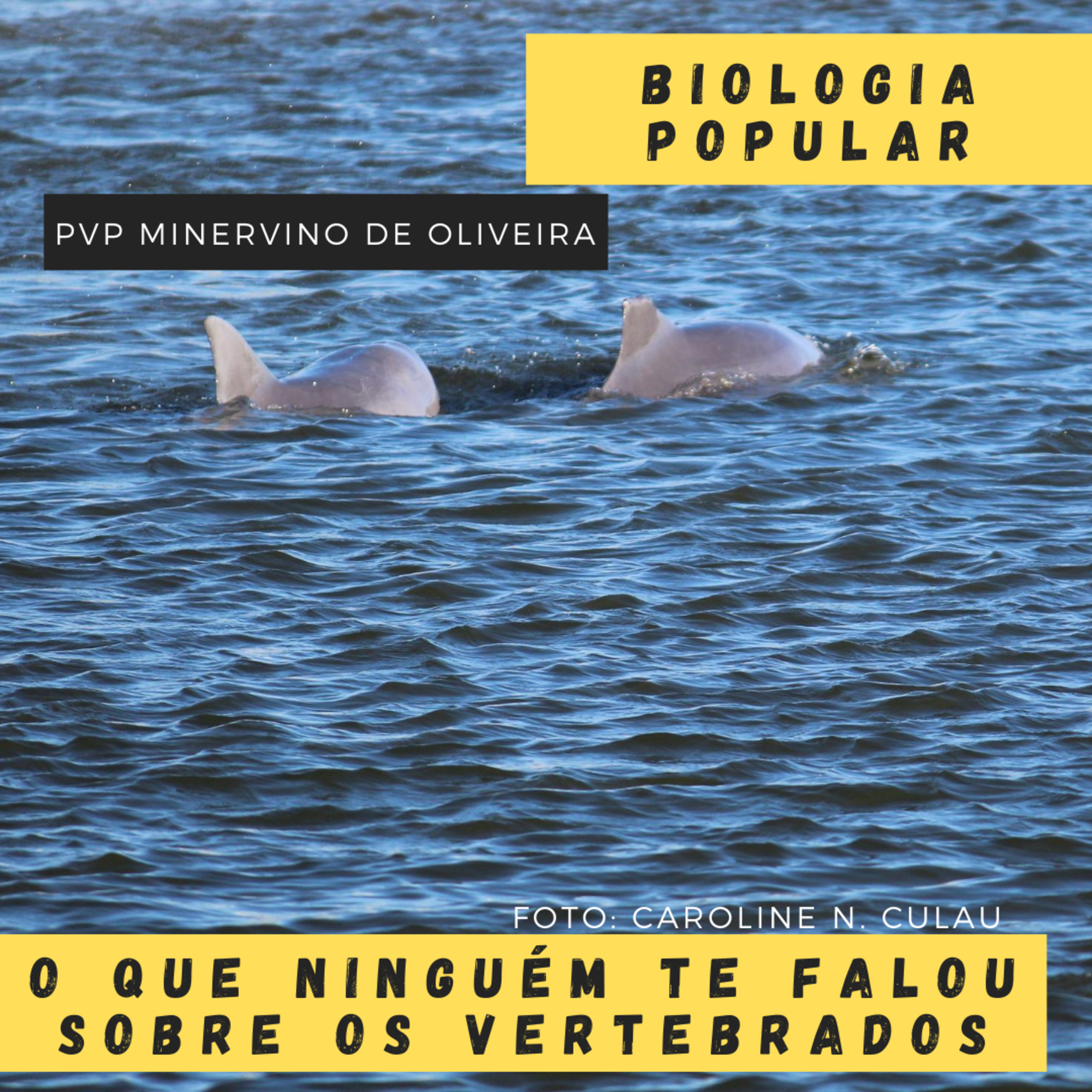 PVP Minervino de Oliveira