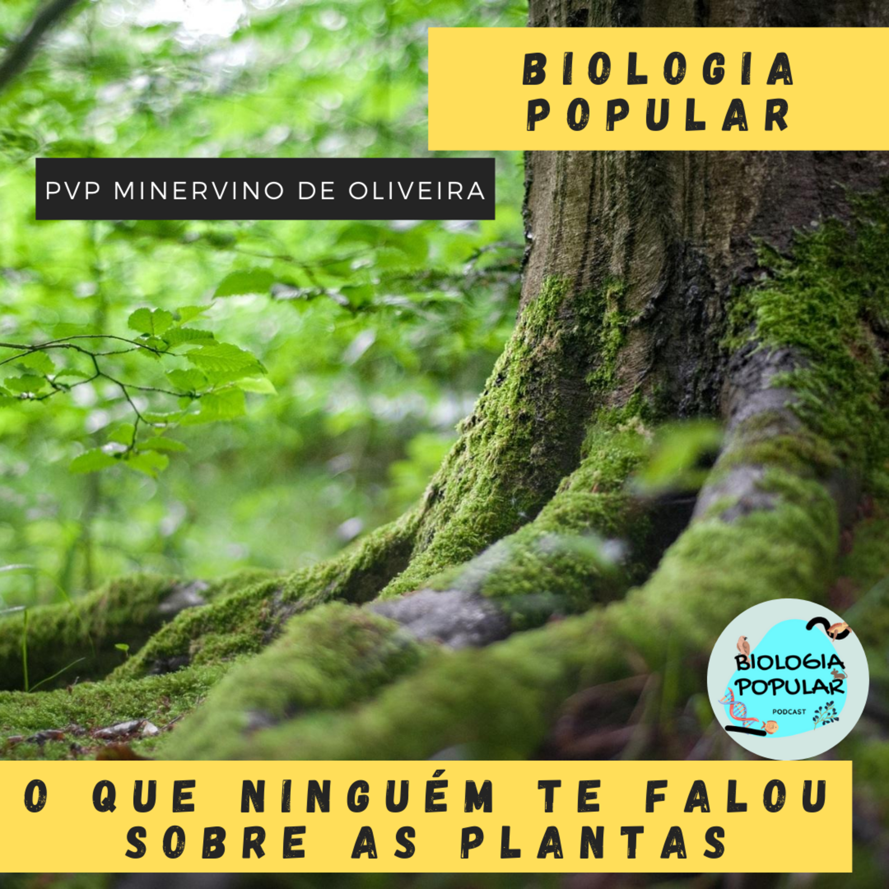 PVP Minervino de Oliveira