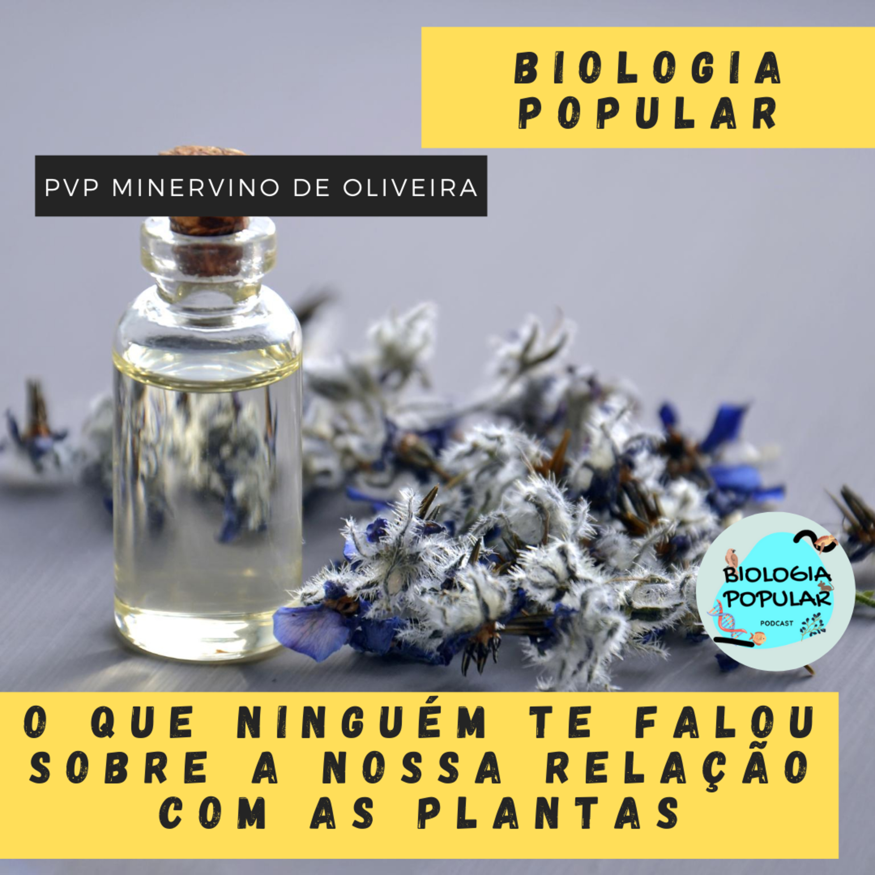PVP Minervino de Oliveira