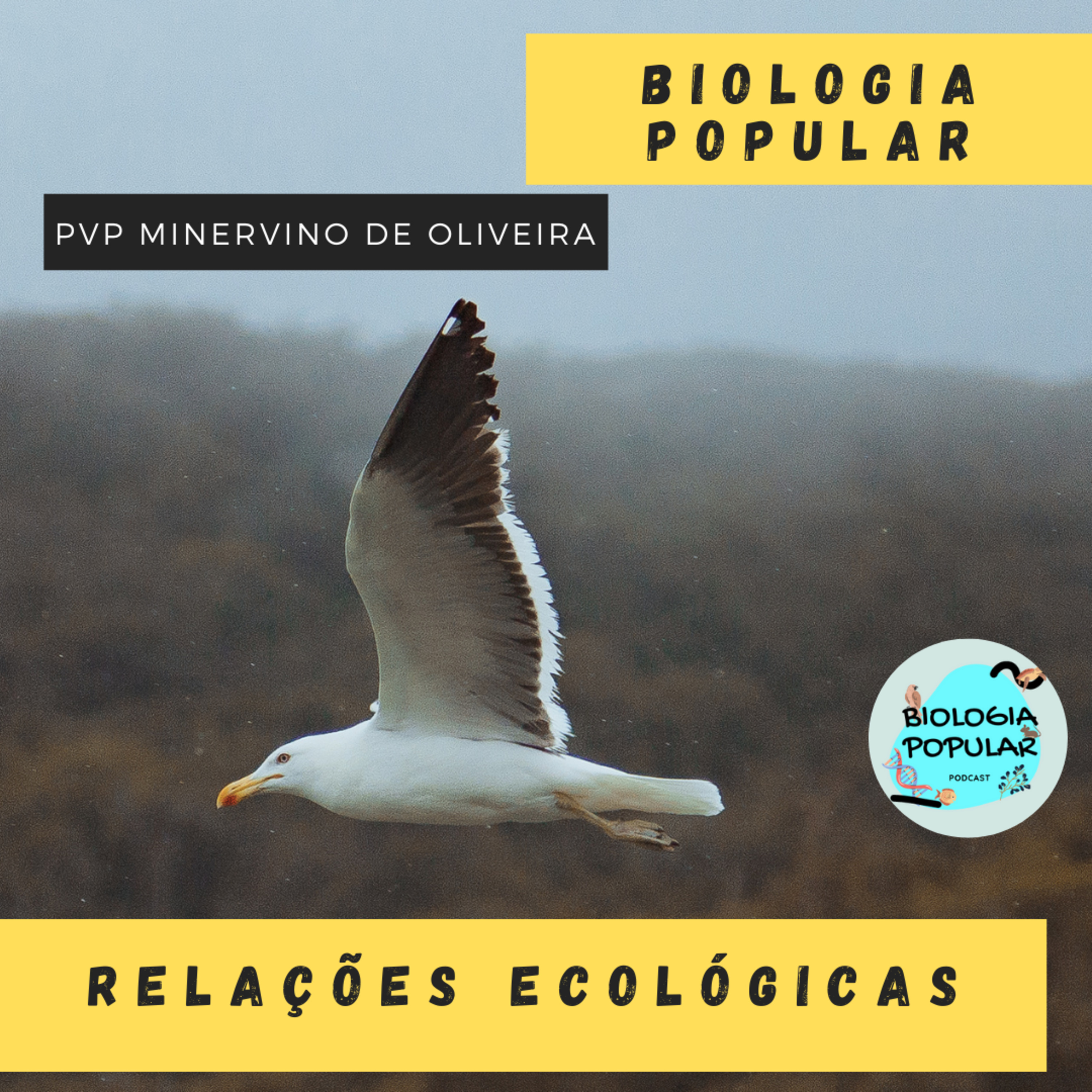 PVP Minervino de Oliveira
