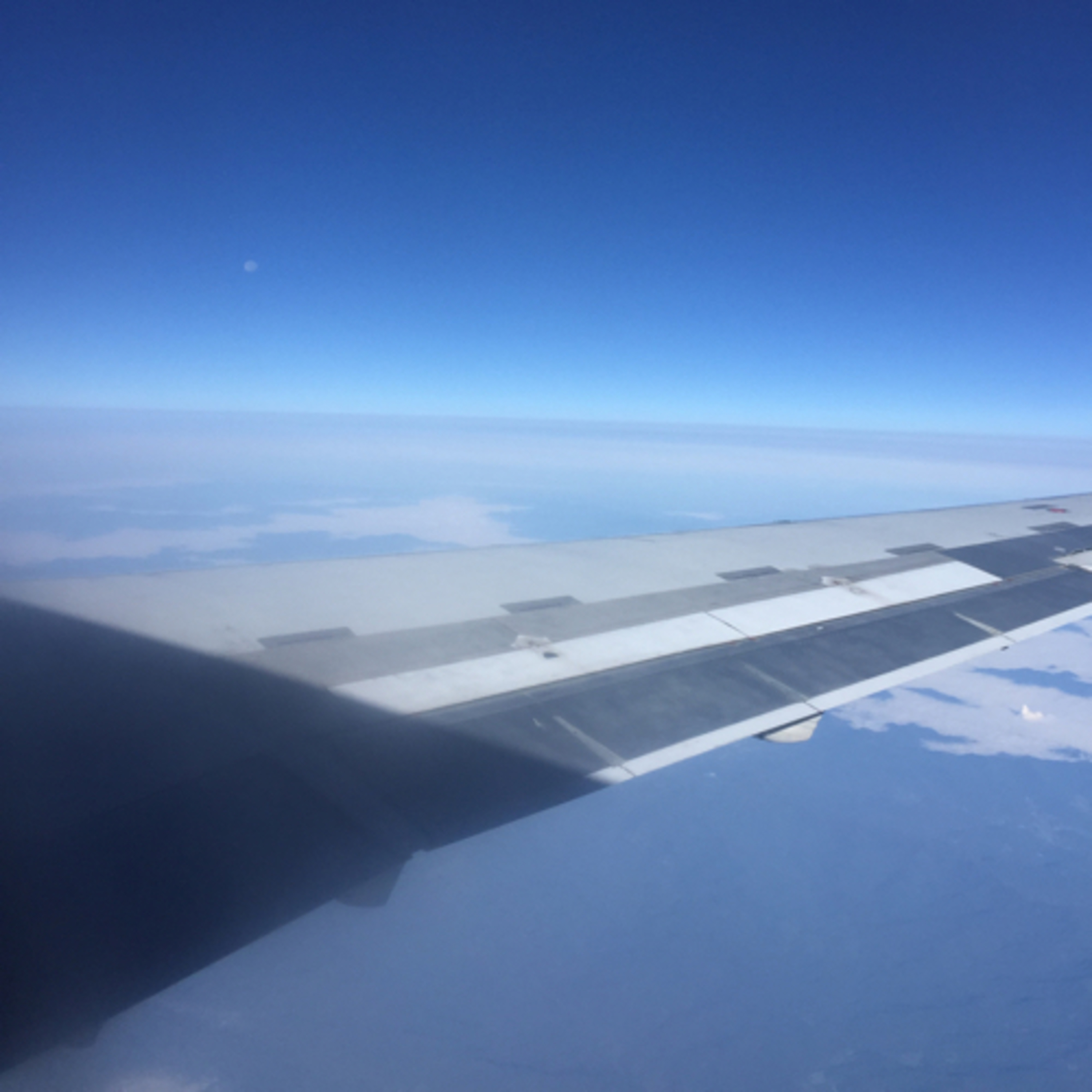 What if...? With Wanda