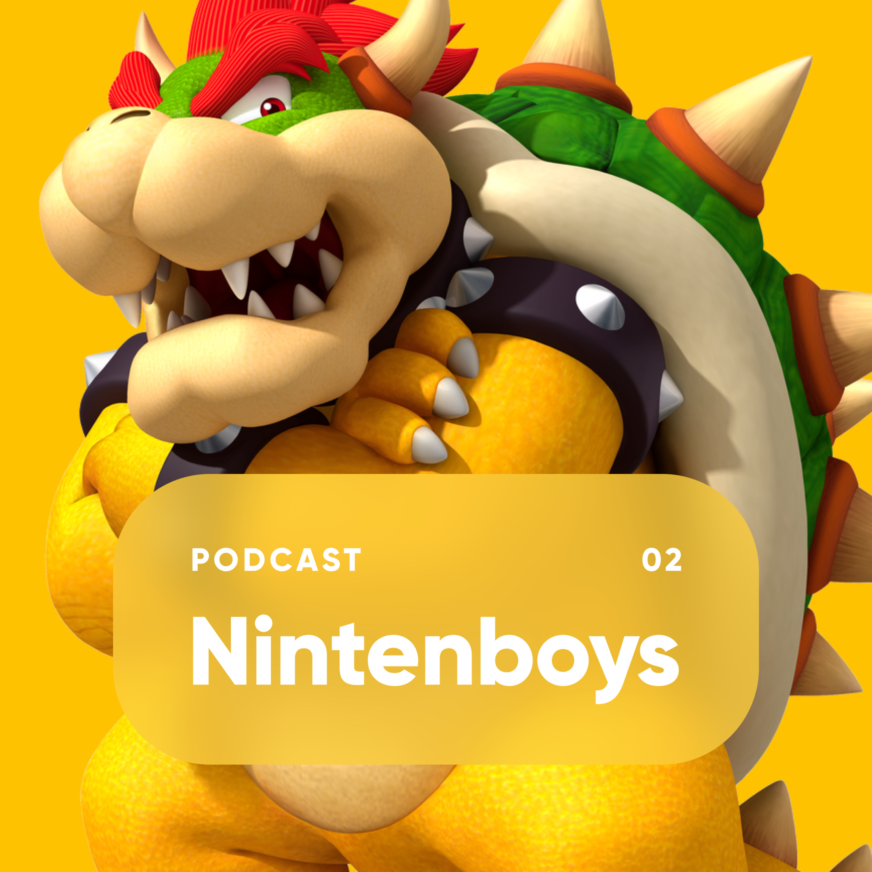 Nintenboys