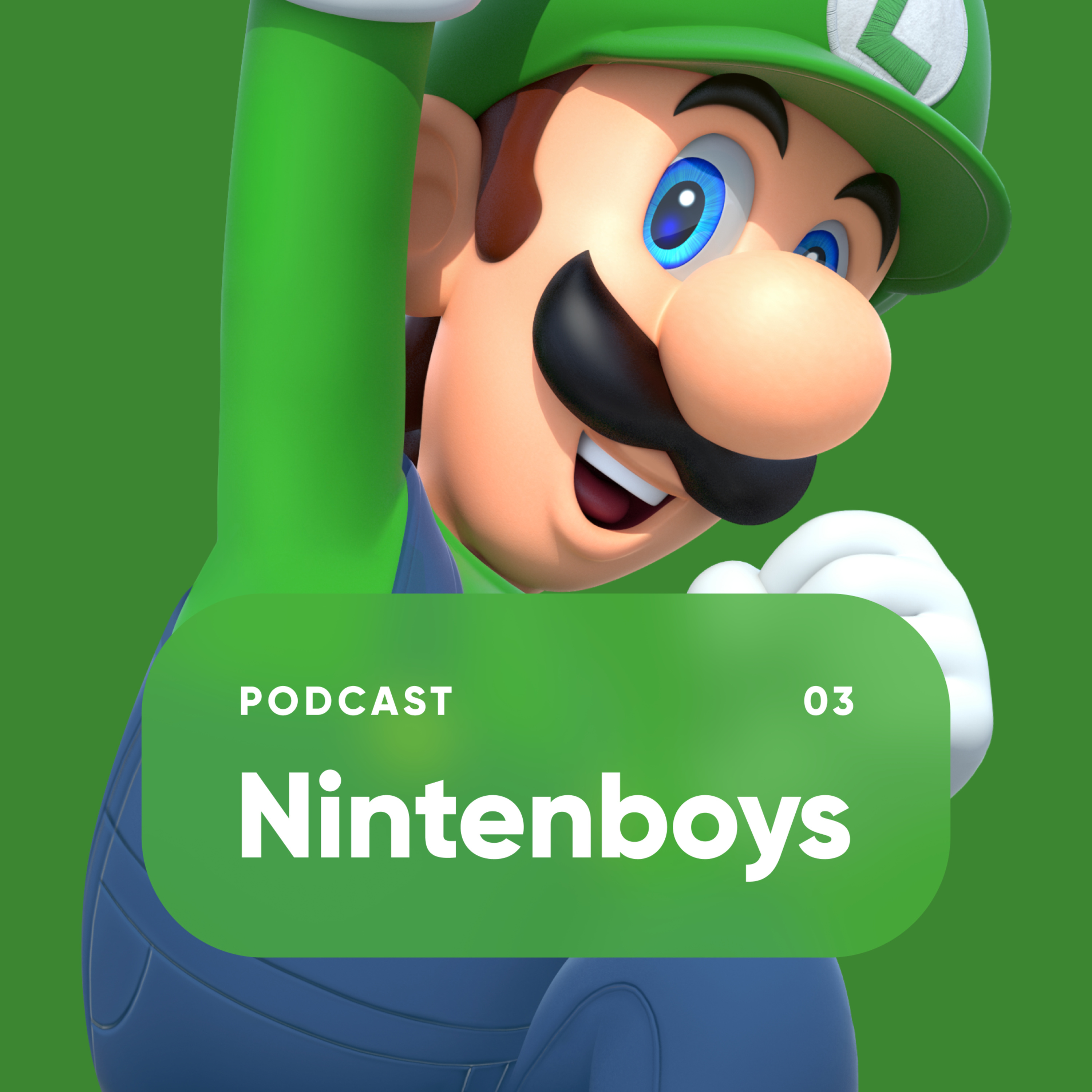 Nintenboys