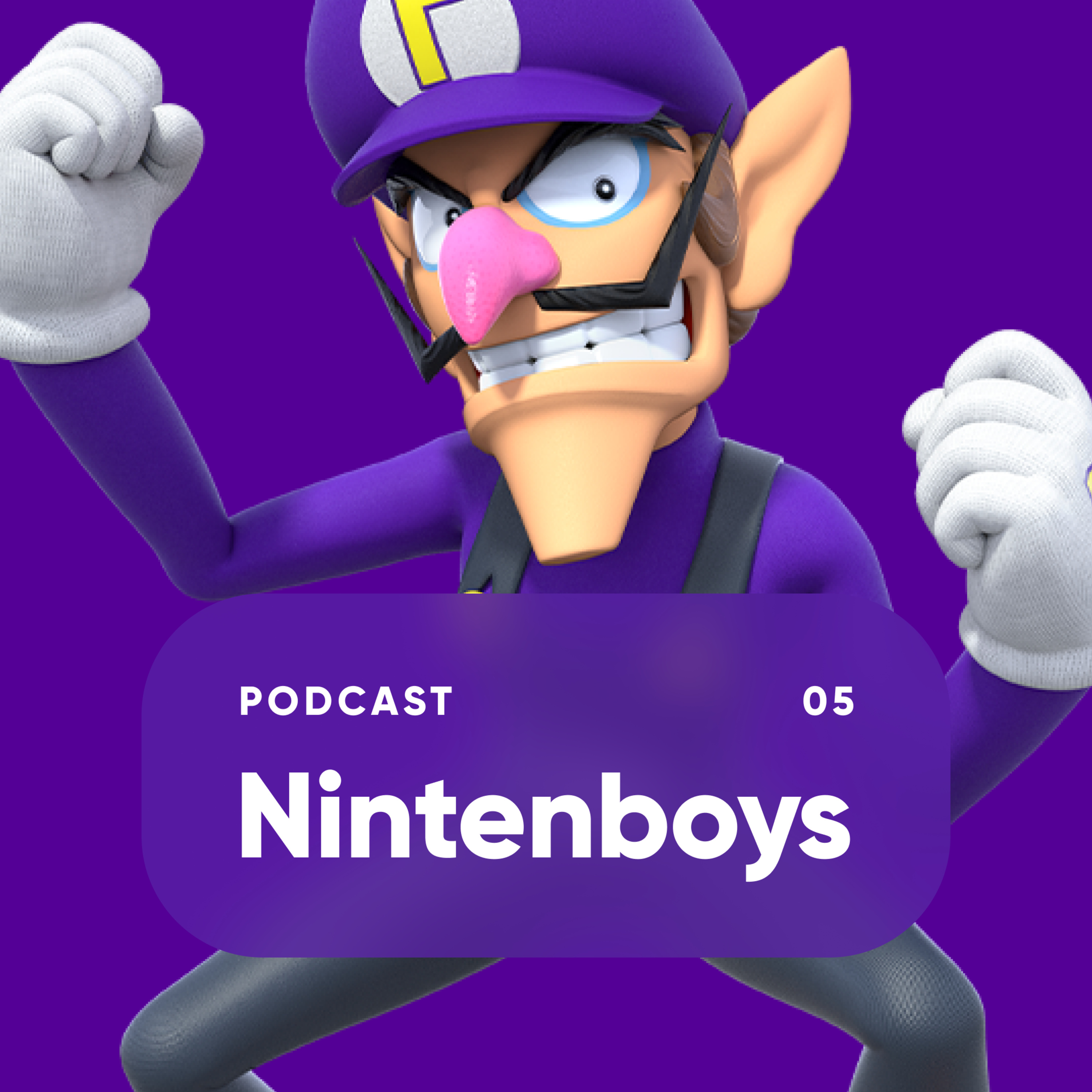 Nintenboys