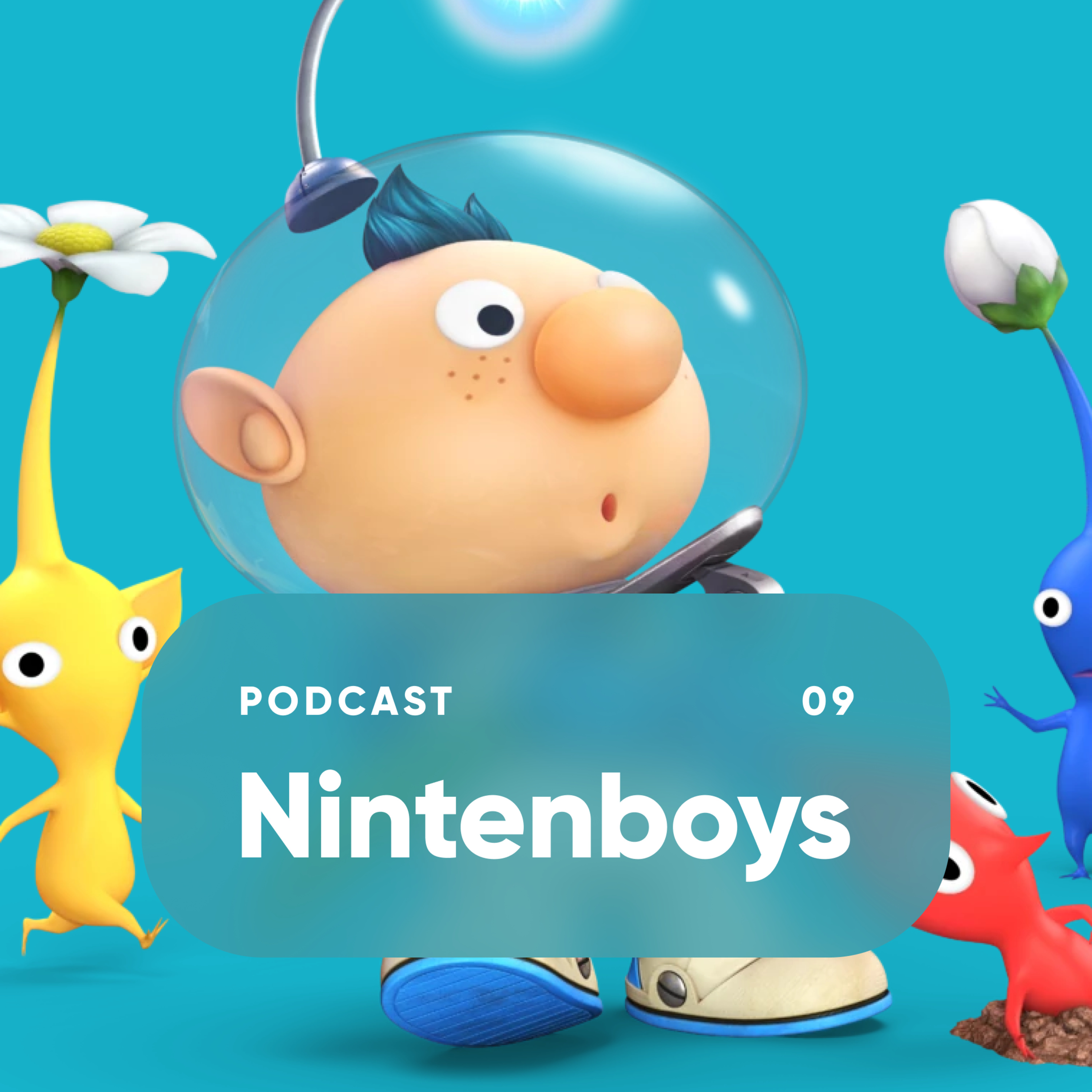 Nintenboys