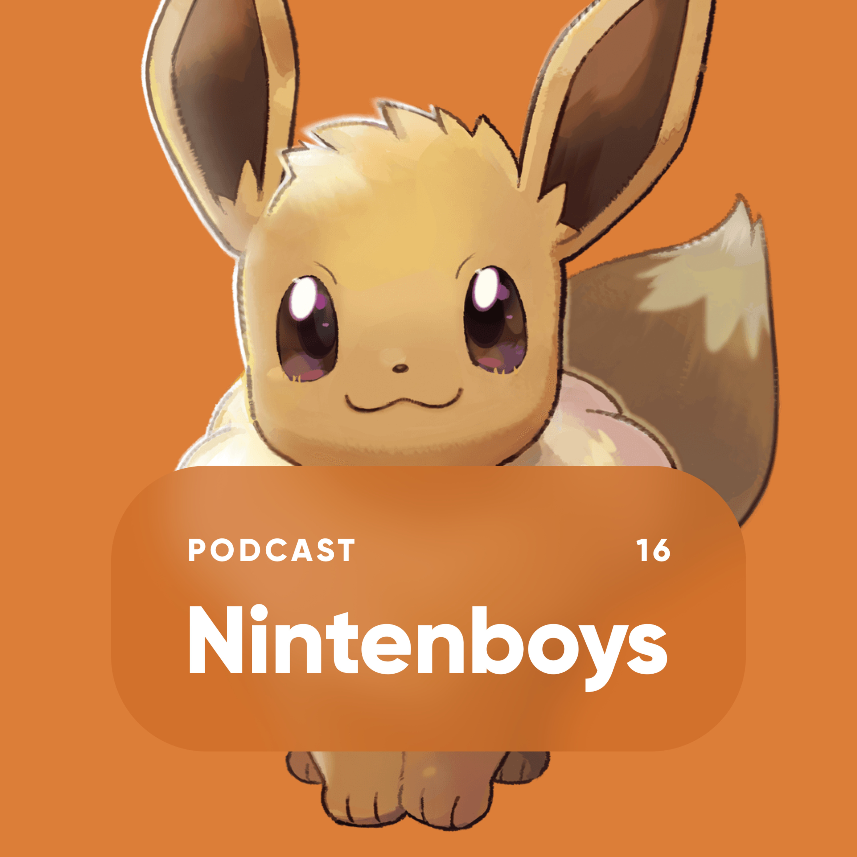 Nintenboys