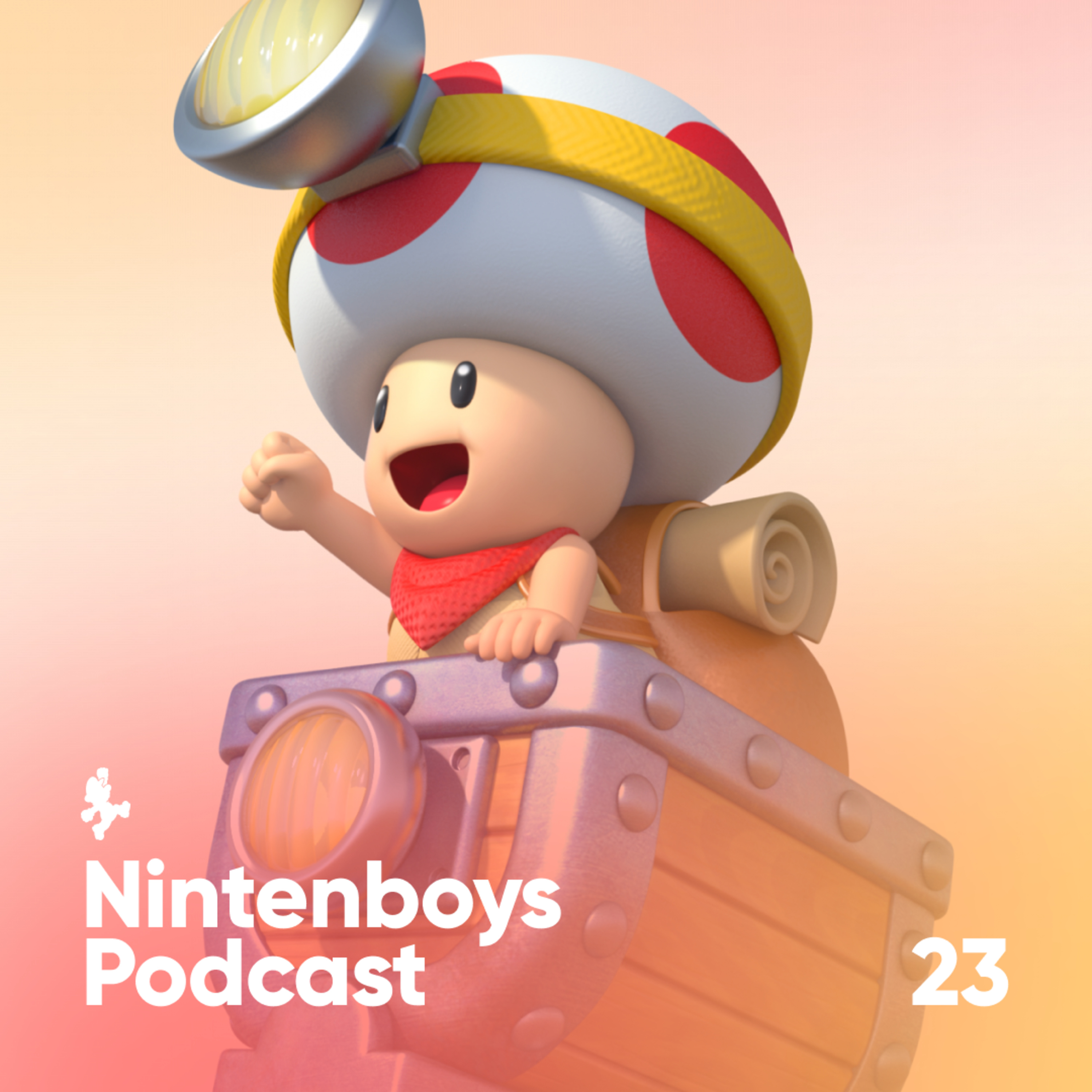 Nintenboys