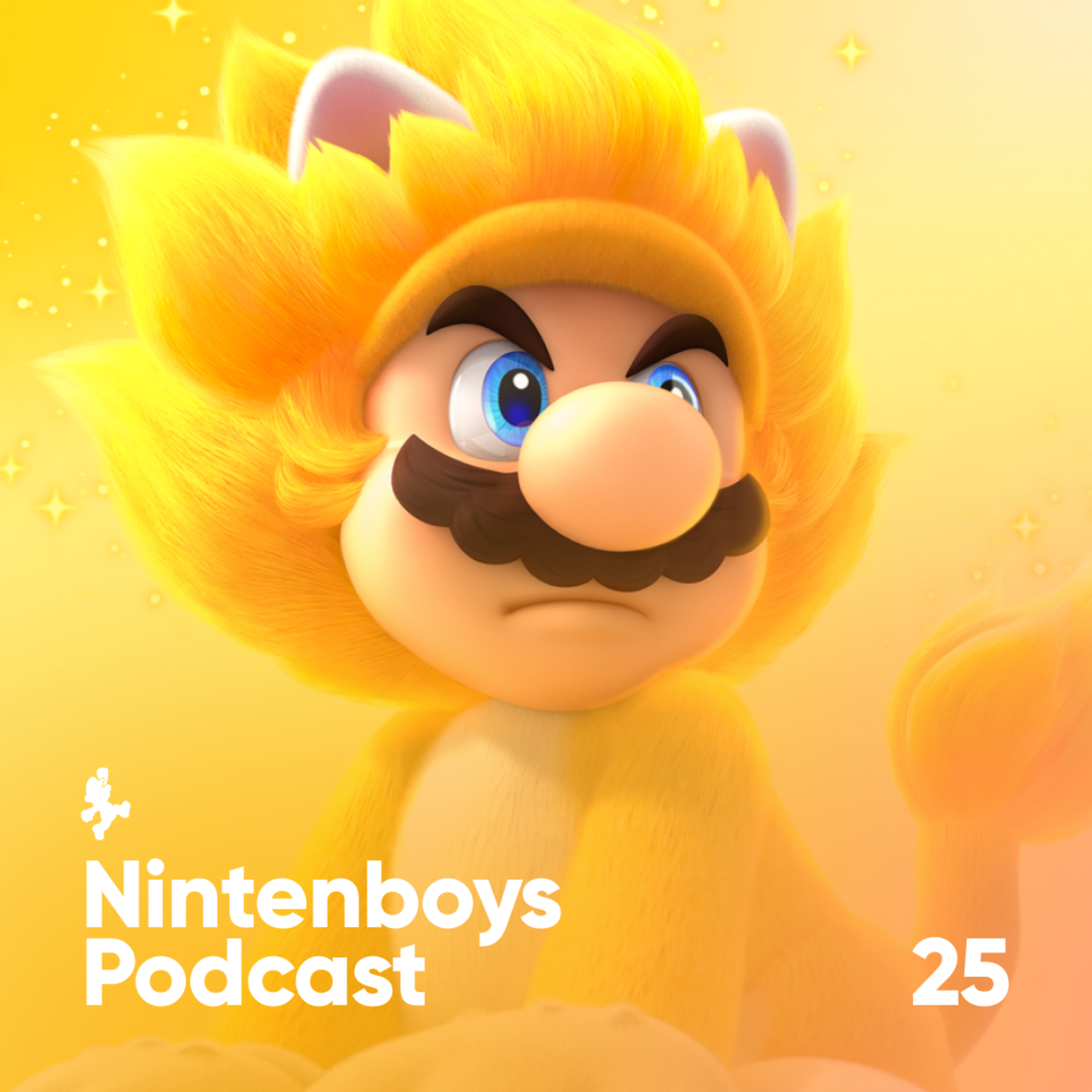 Nintenboys