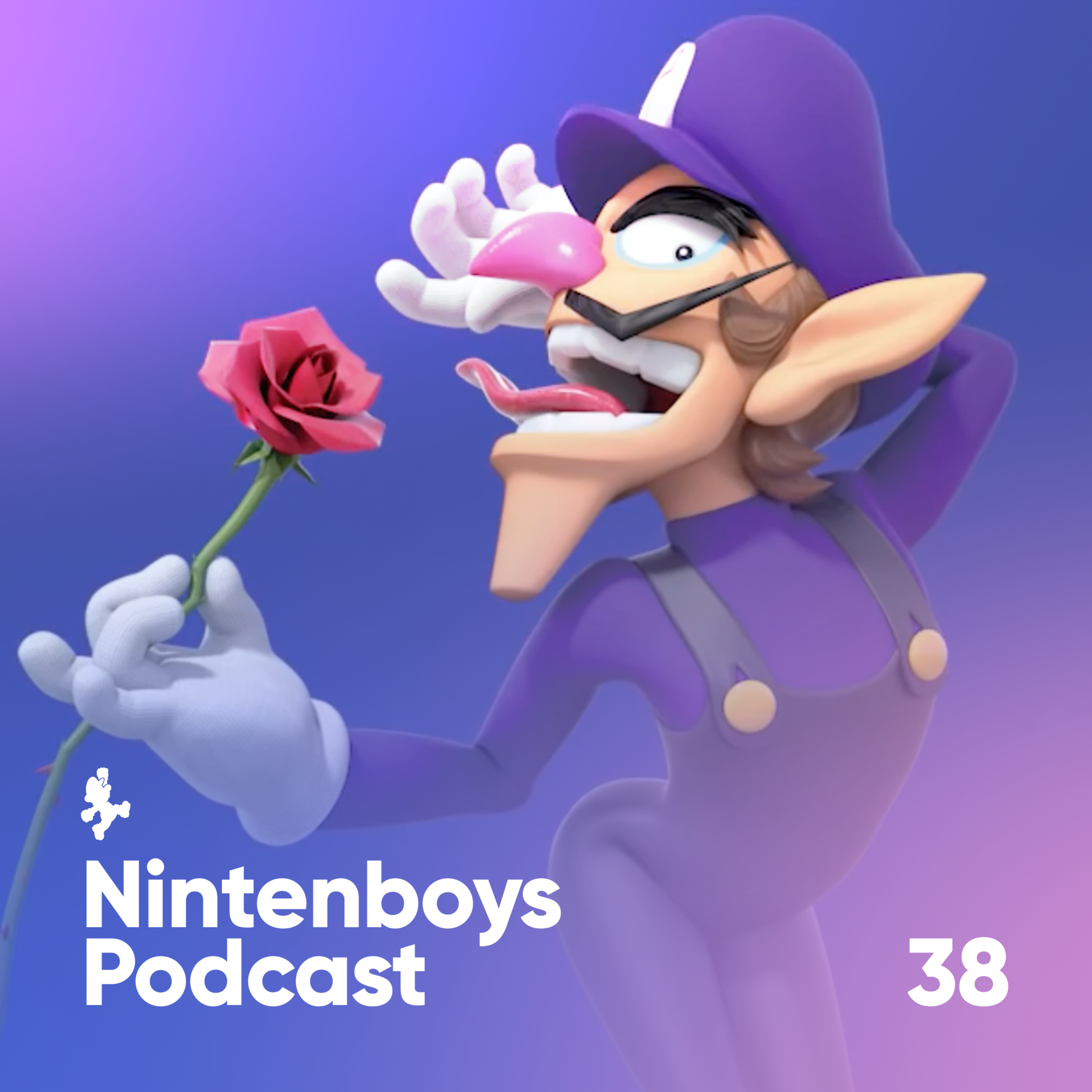Nintenboys