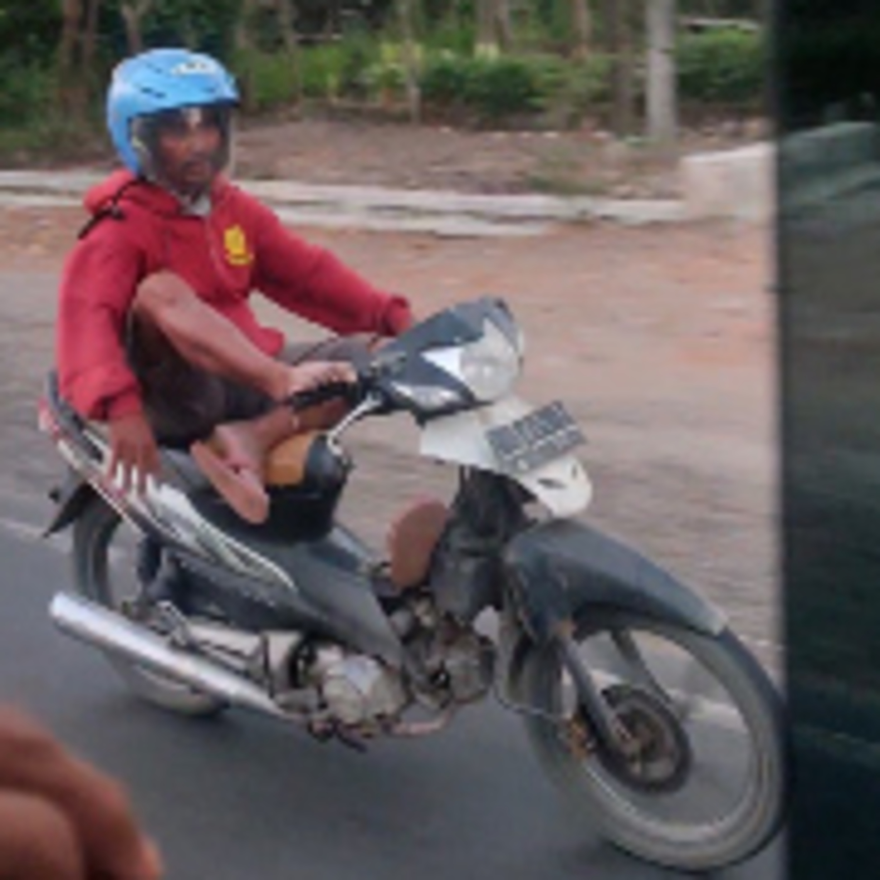 WartaBromo