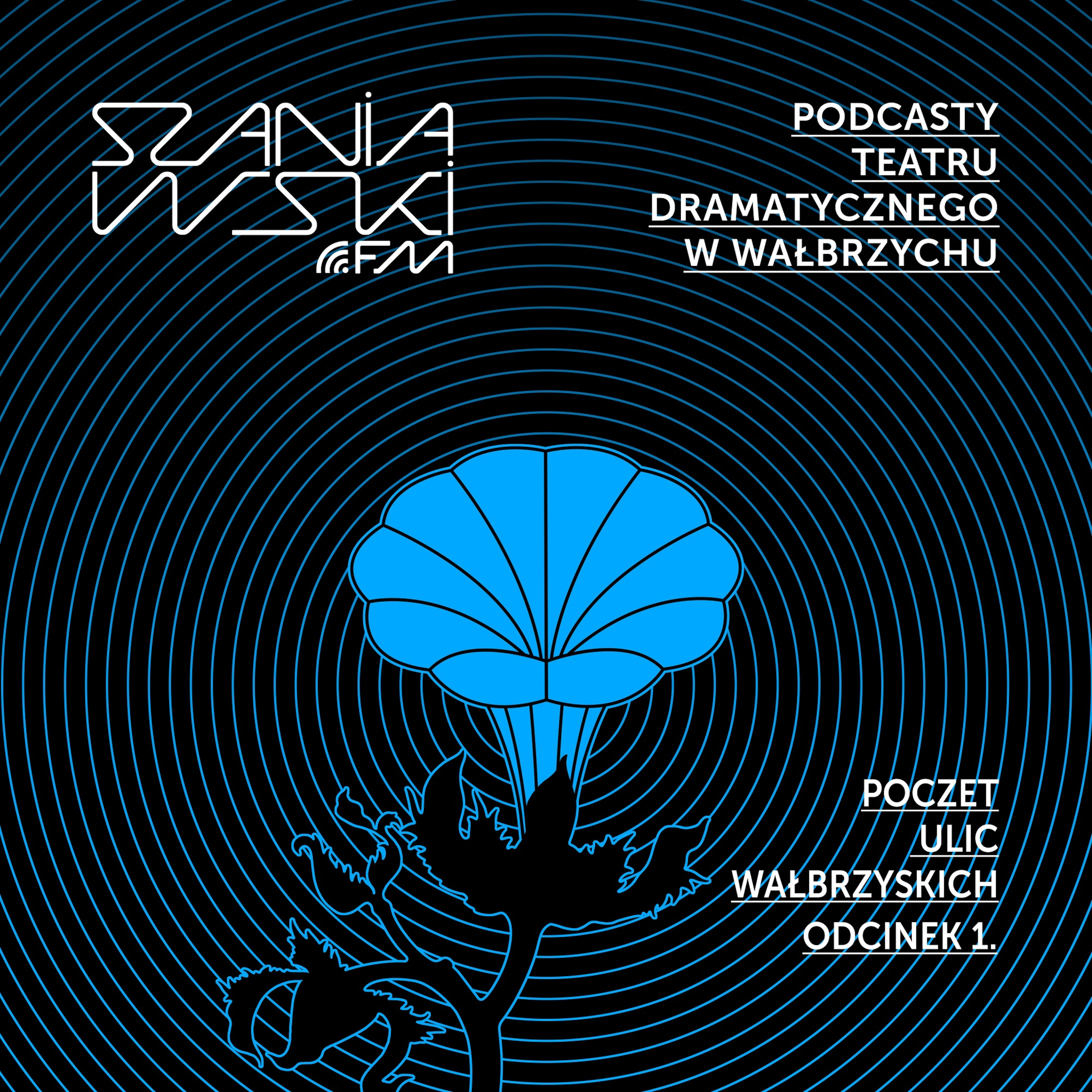 POCZET ULIC WAŁBRZYSKICH odcinek 1 episode artwork