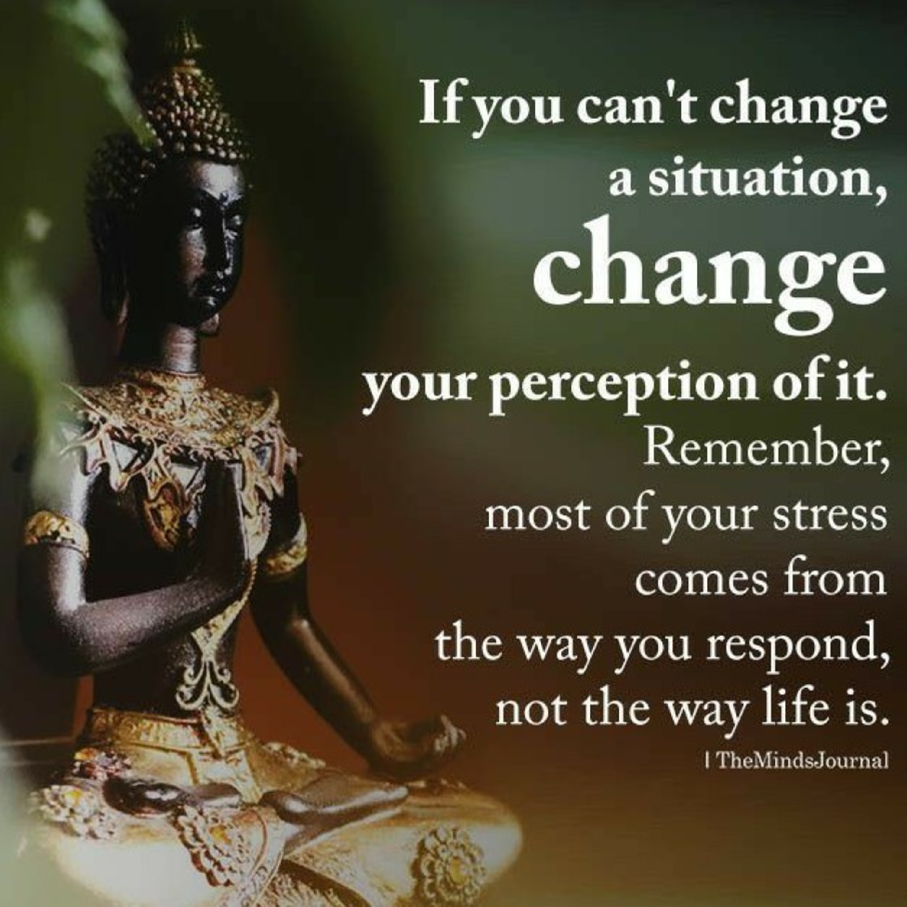 Mohana\'s Talk