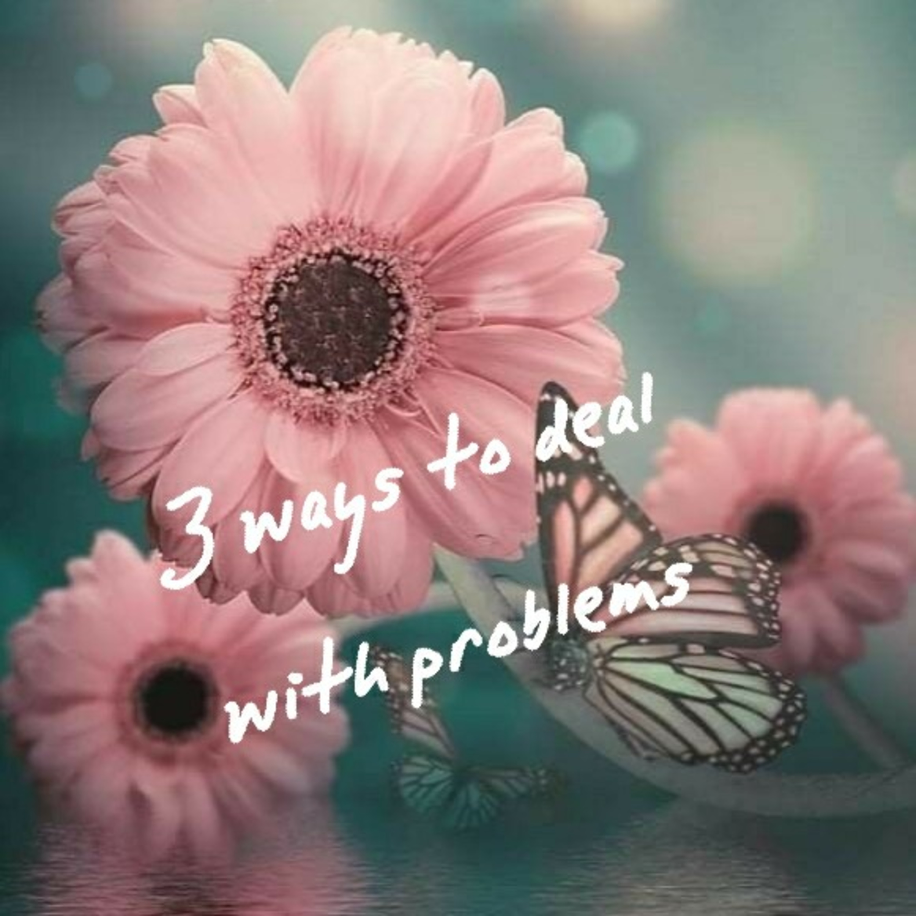 Mohana\'s Talk