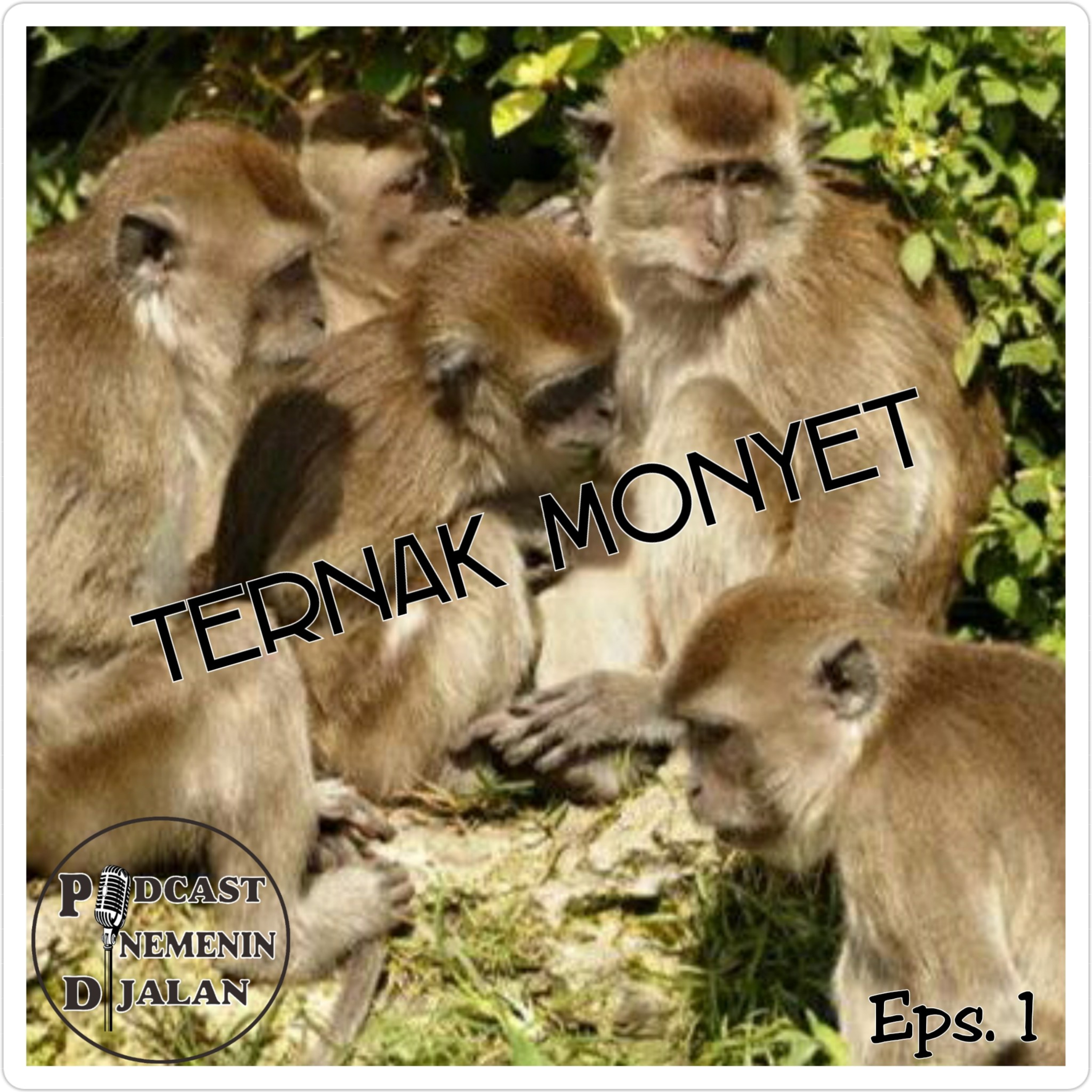Podcast Nemenin