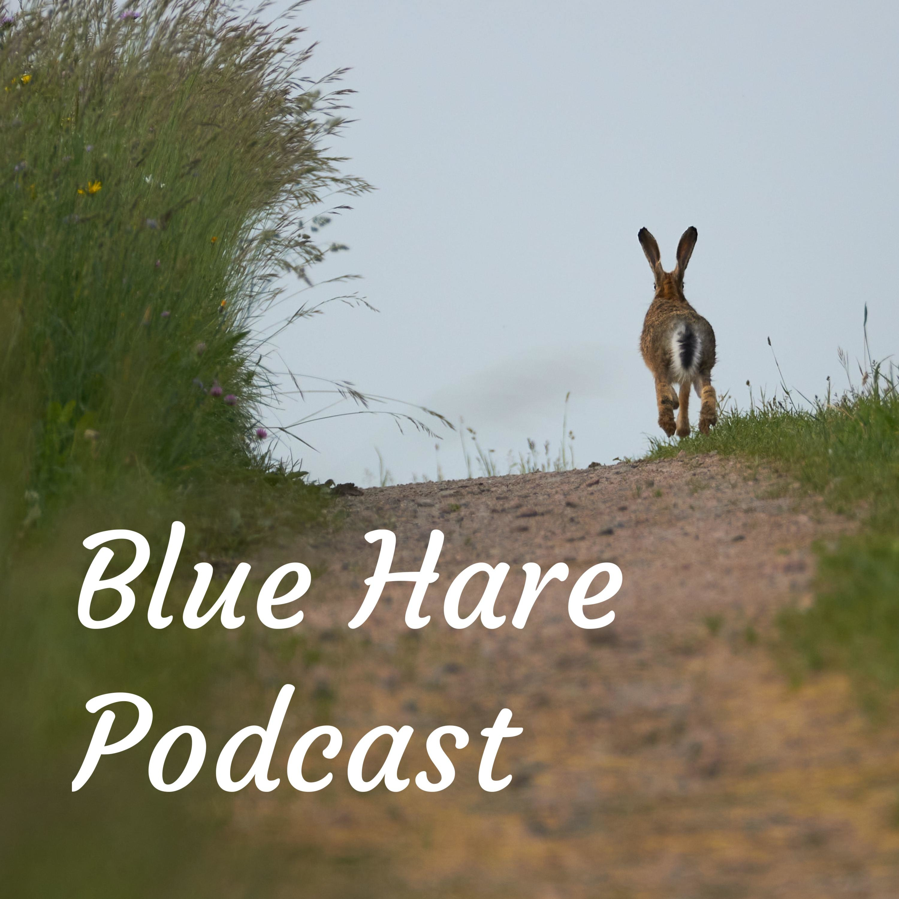 The Blue Hare introduces the Brilliant Resilient Safely Distanced Damsels episode artwork