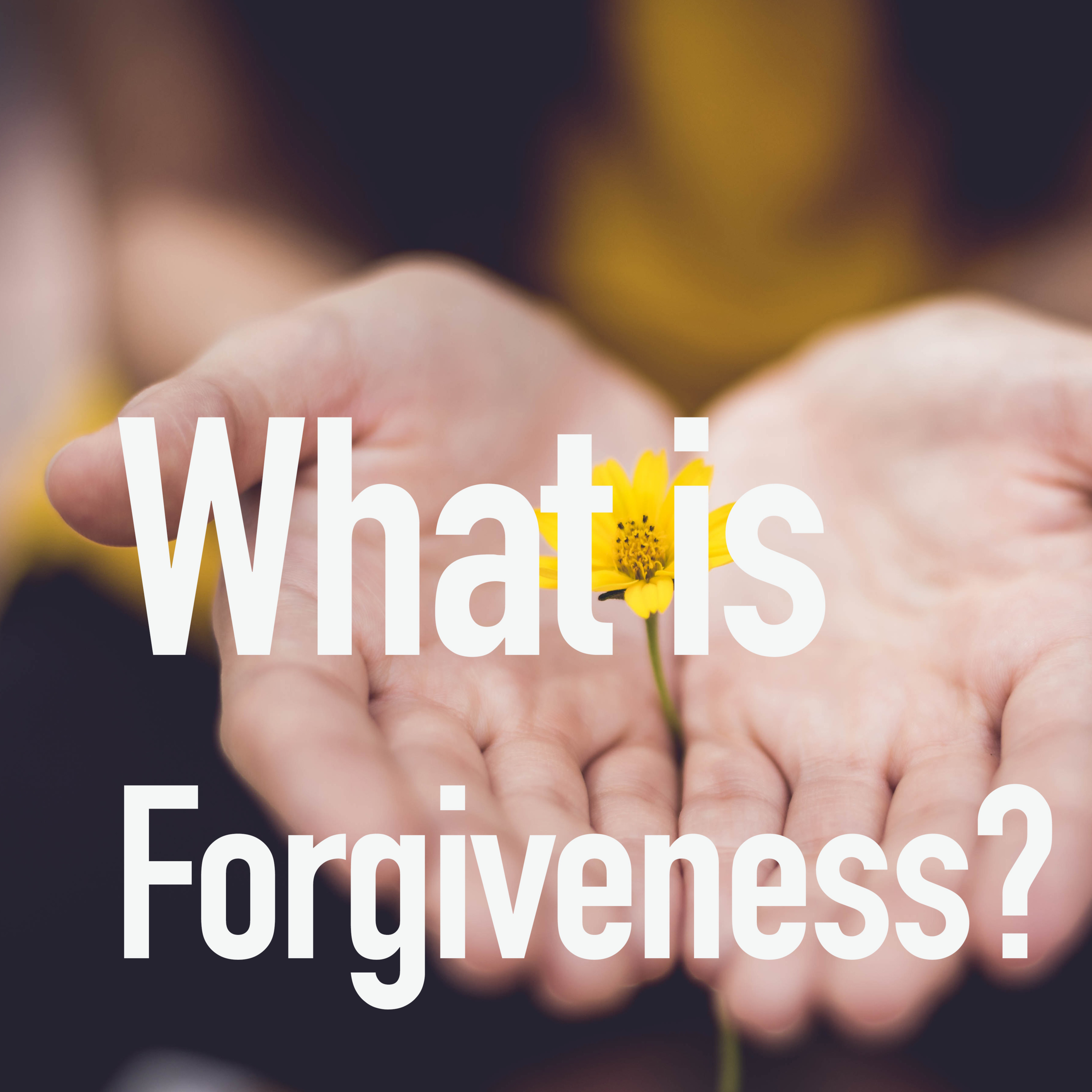 The Road To Forgiveness