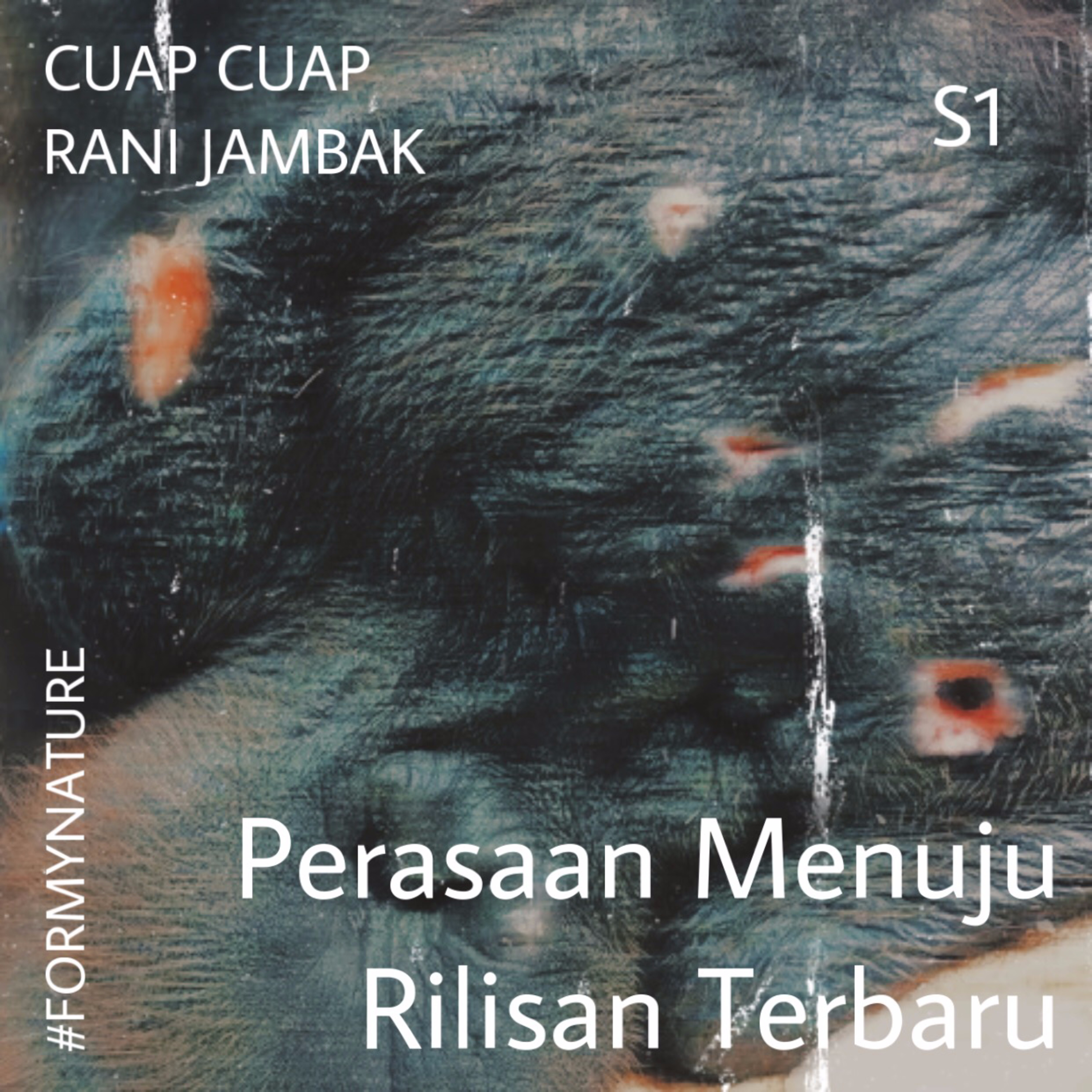 Cuap Cuap Rani Jambak
