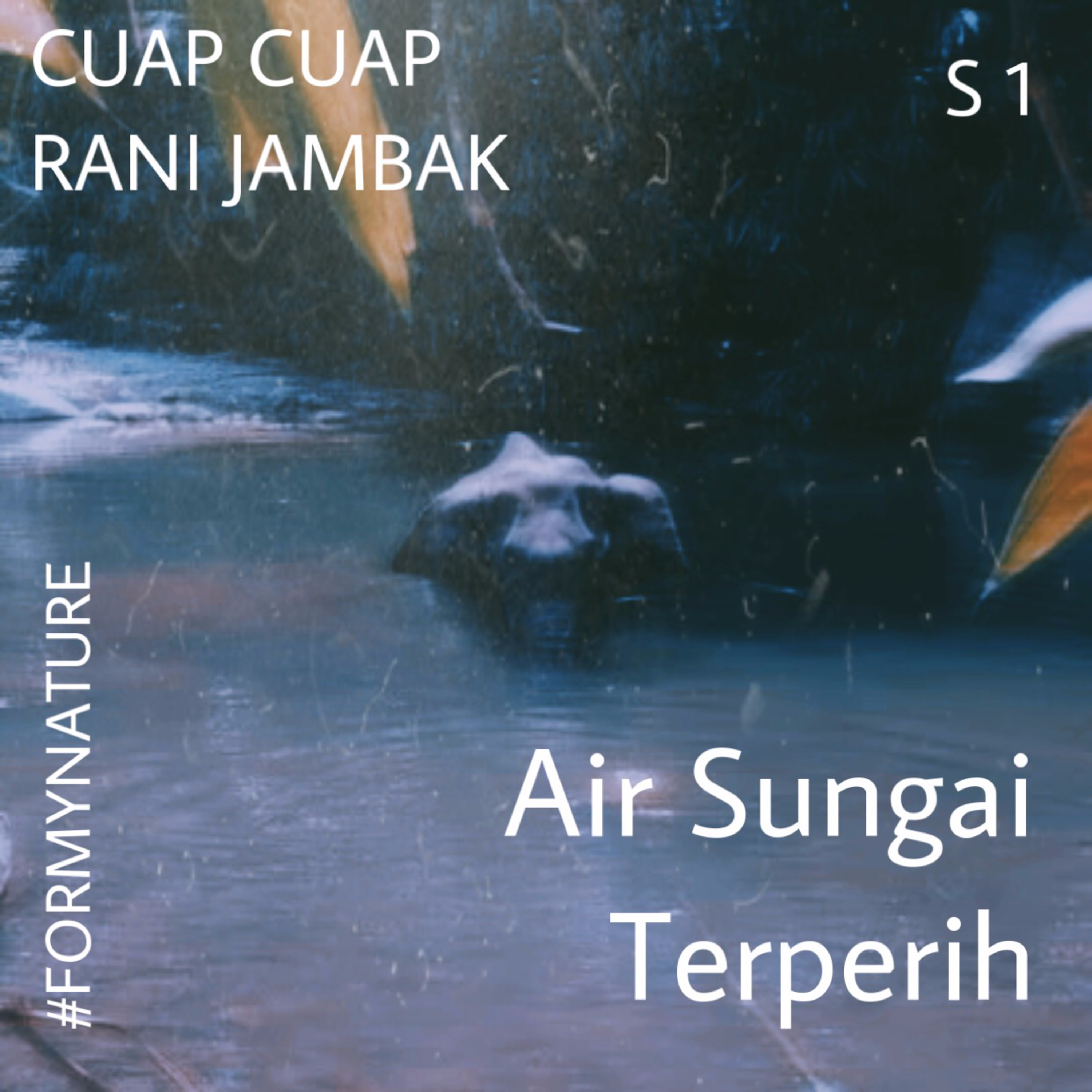 Cuap Cuap Rani Jambak