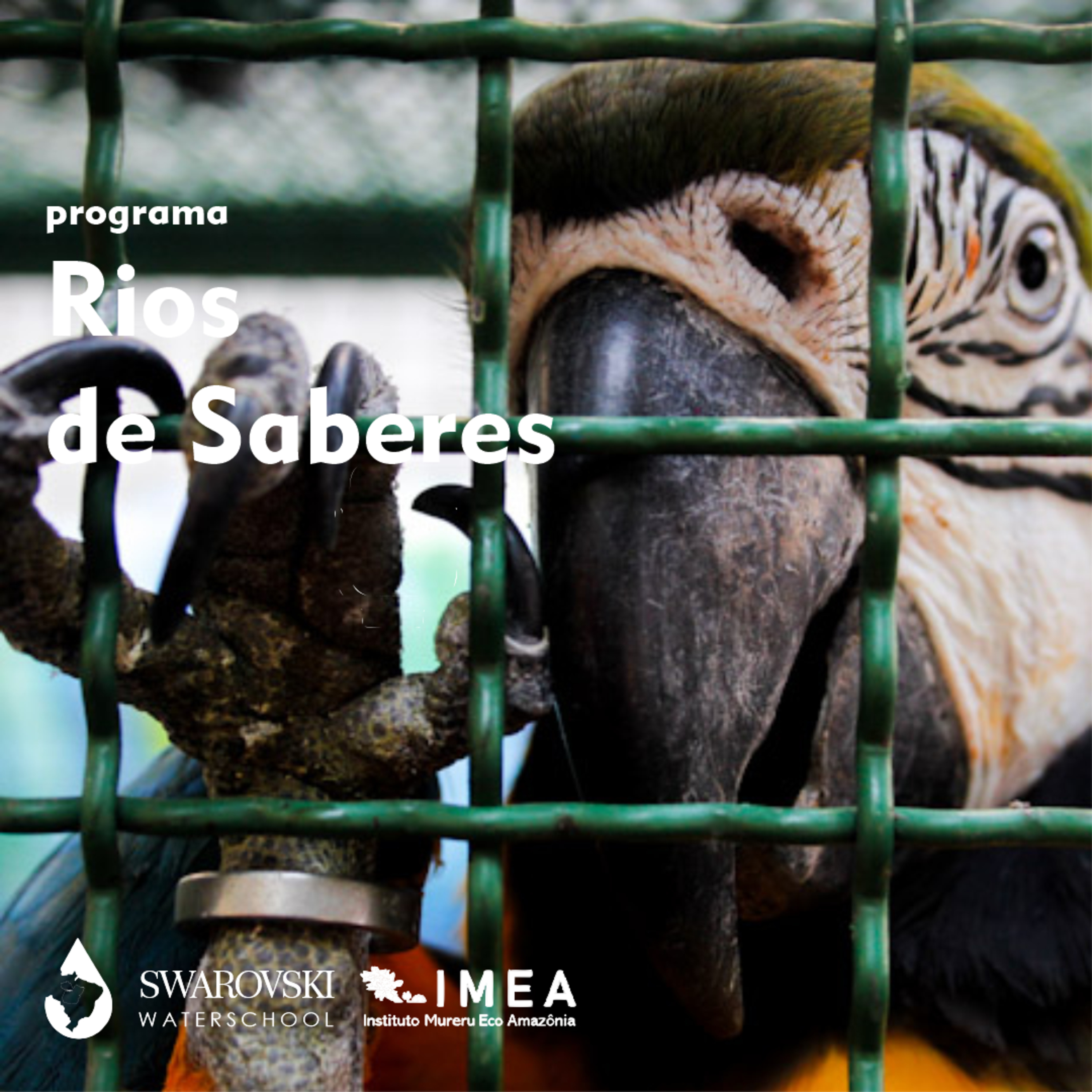 Proteção de animais domésticos e silvestres