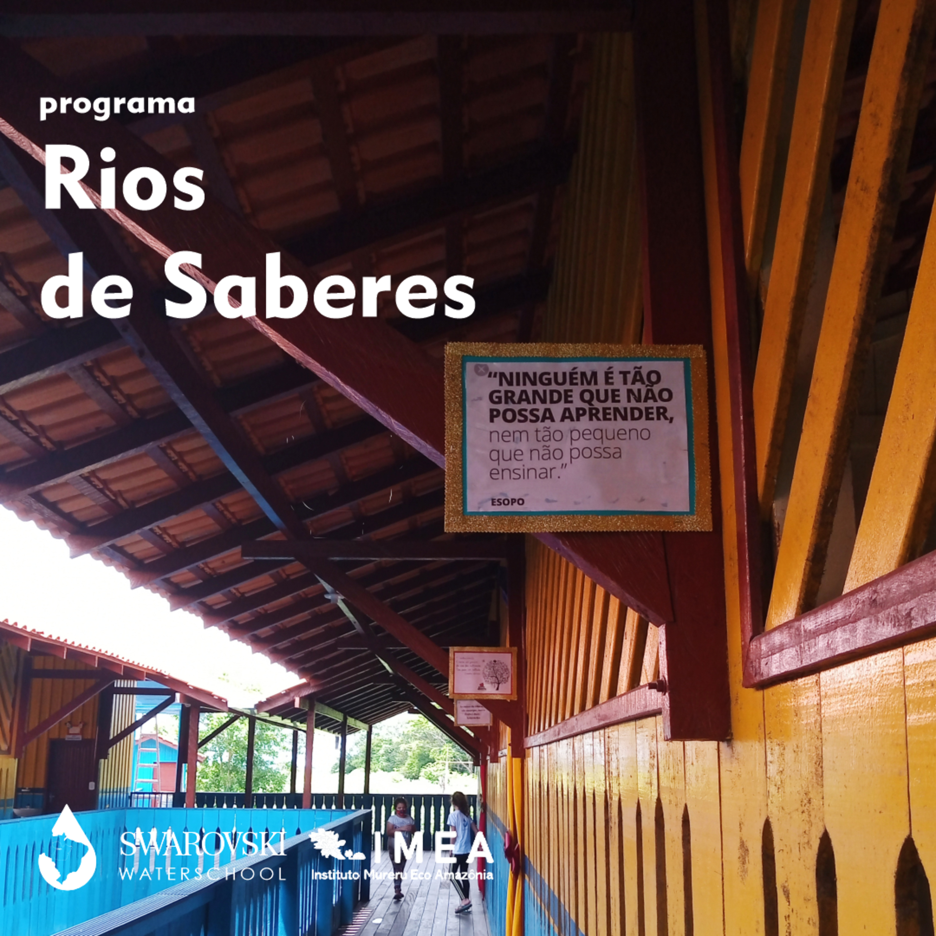 Democracia, sala de aula e amazônia: assuntos que se interligam