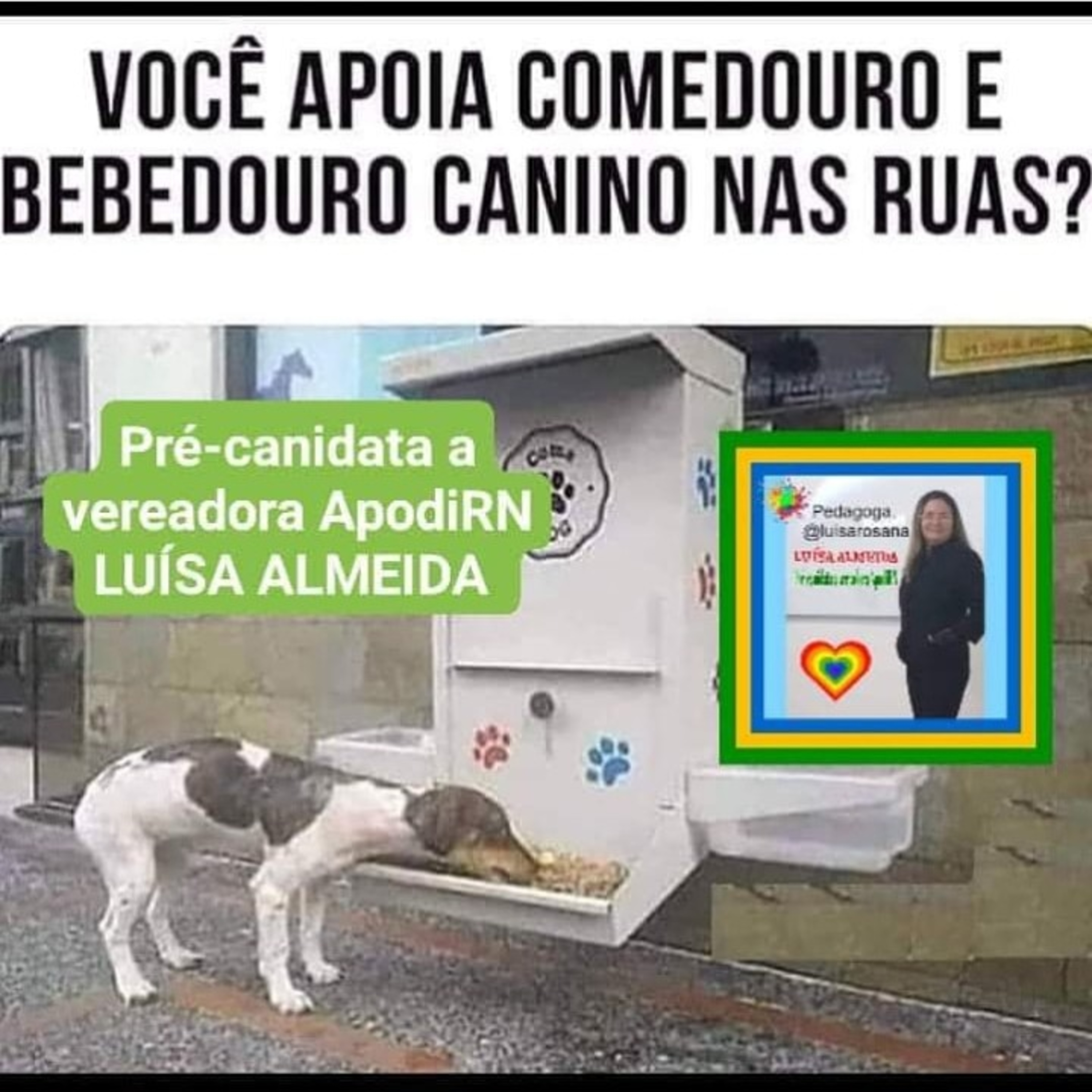 LUÍSA ALMEIDA
