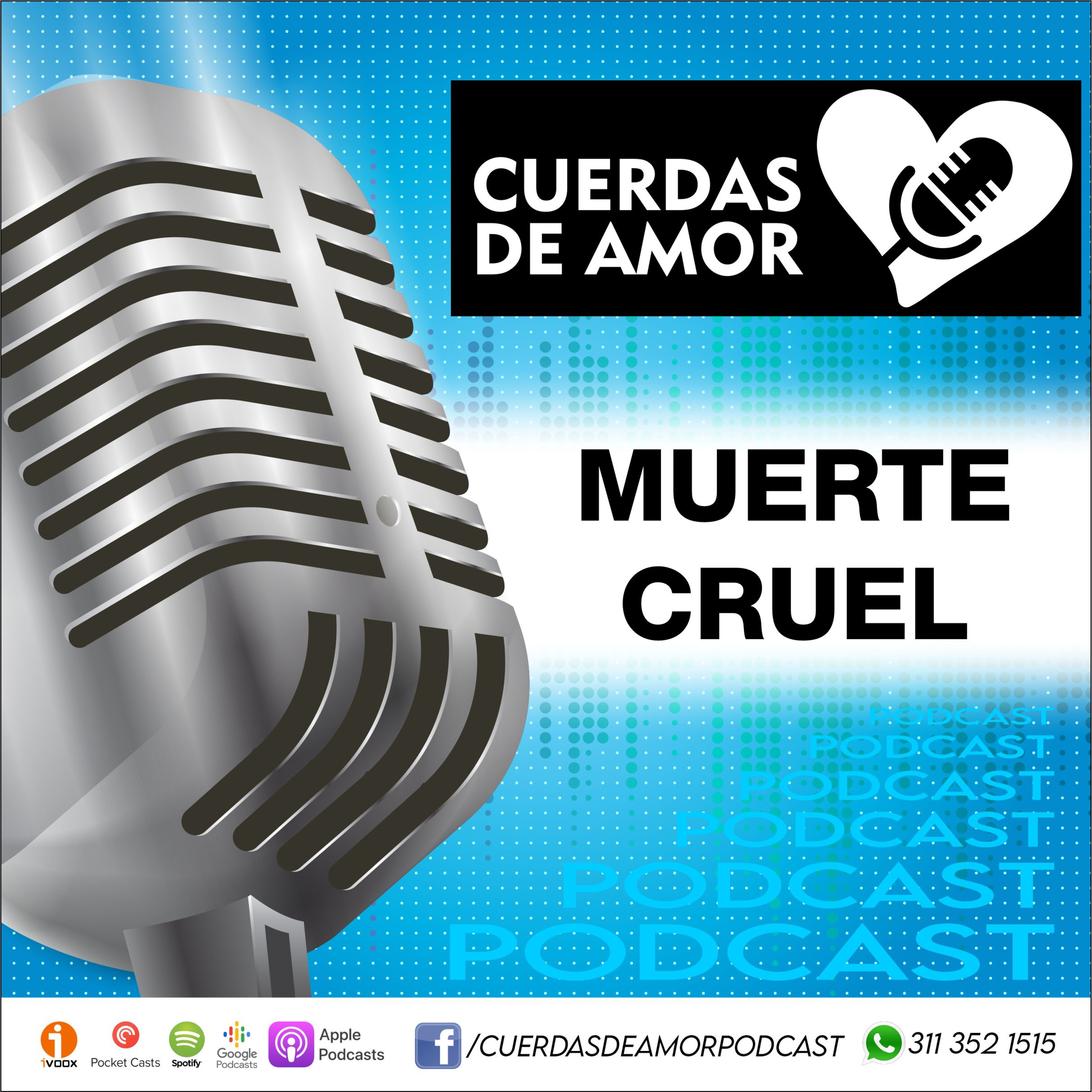 Portada de Cuerdas de amor