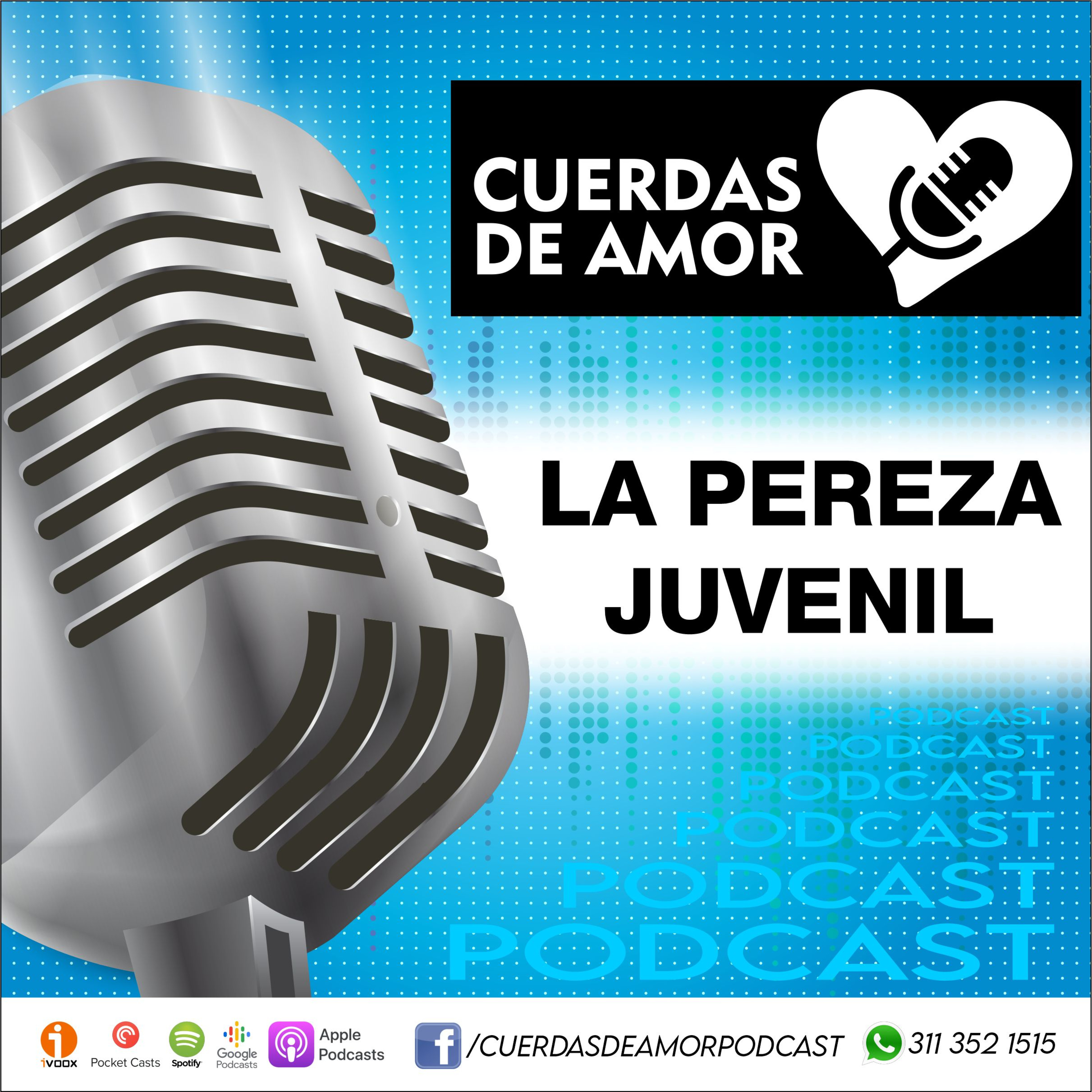 Portada de Cuerdas de amor