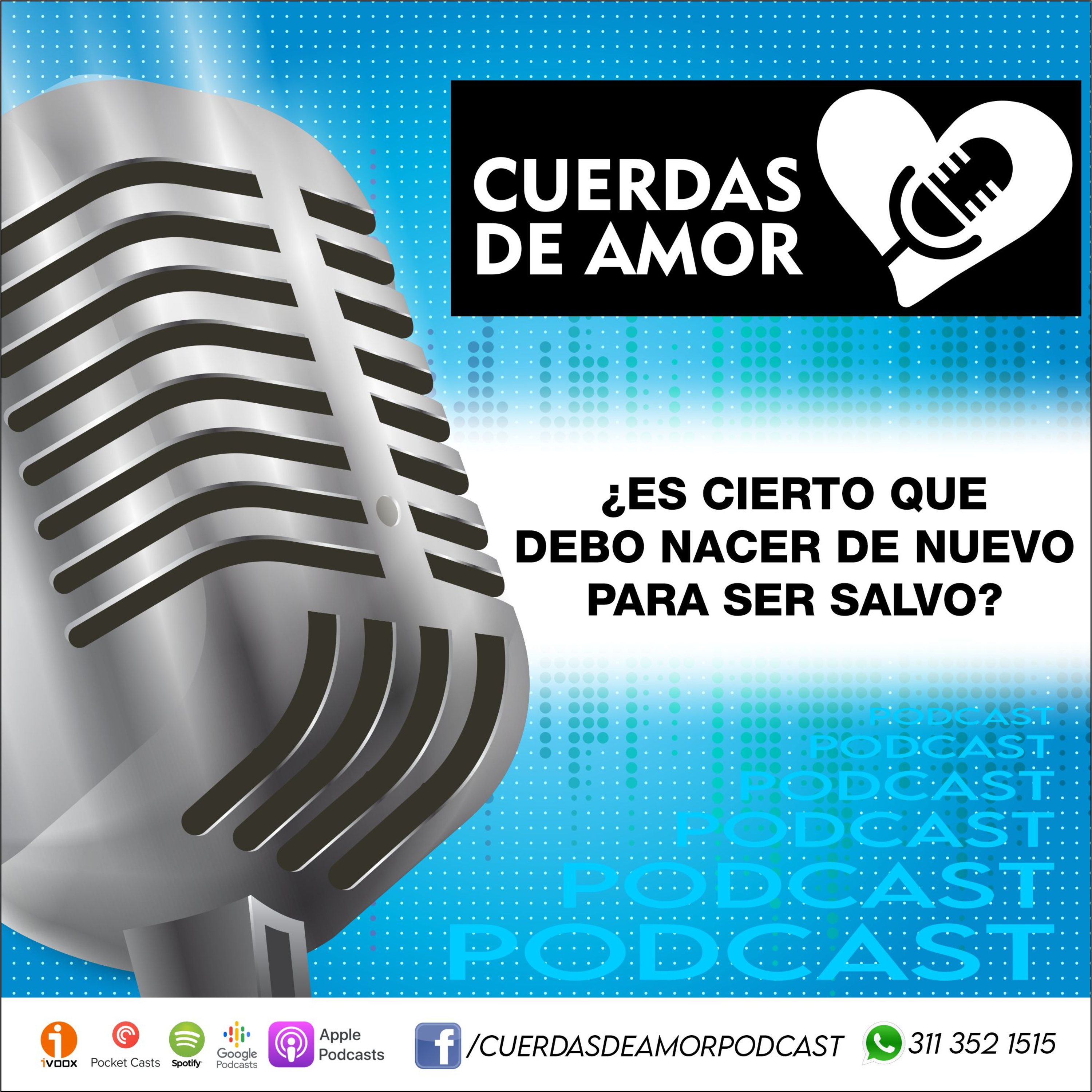 Portada de Cuerdas de amor