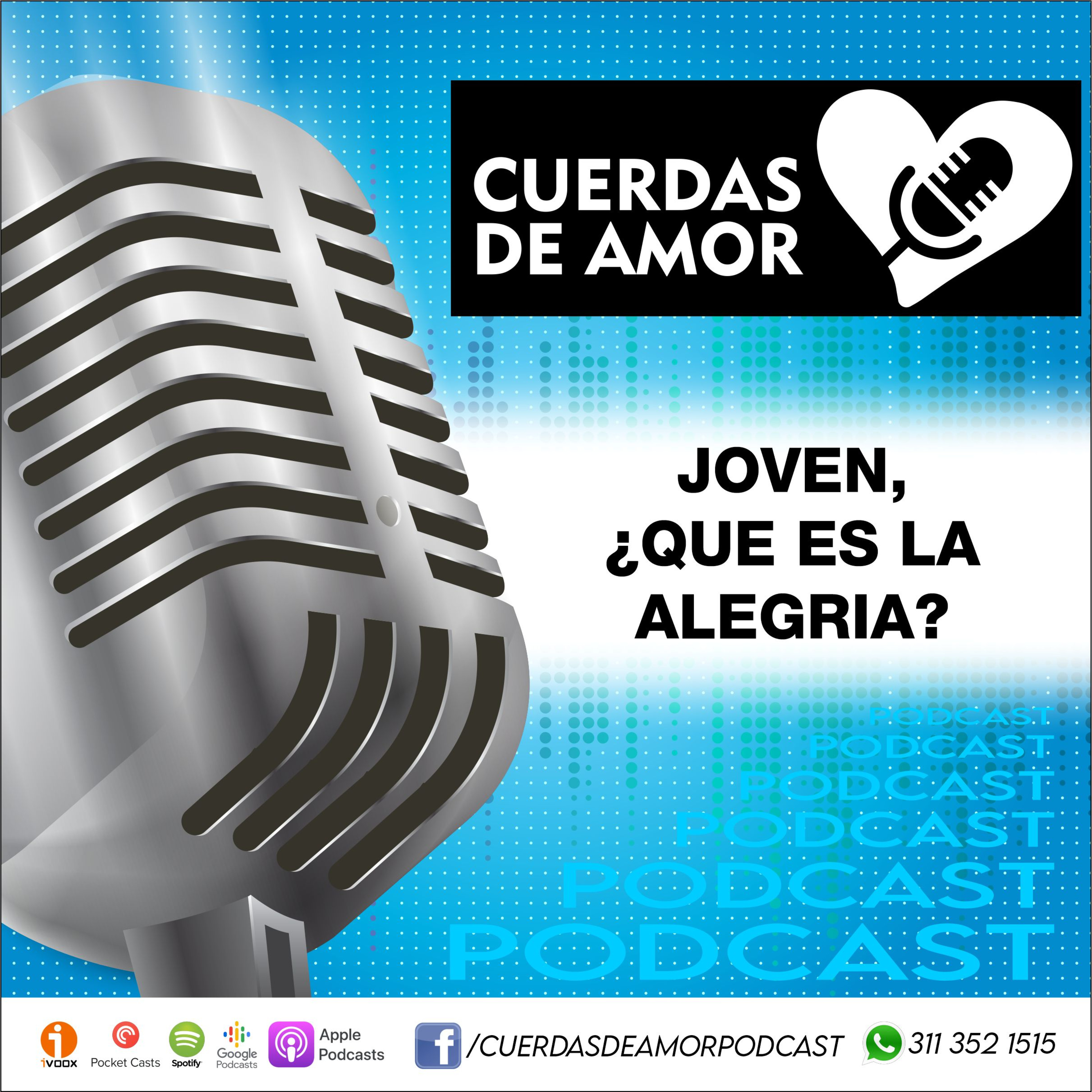 Portada de Cuerdas de amor