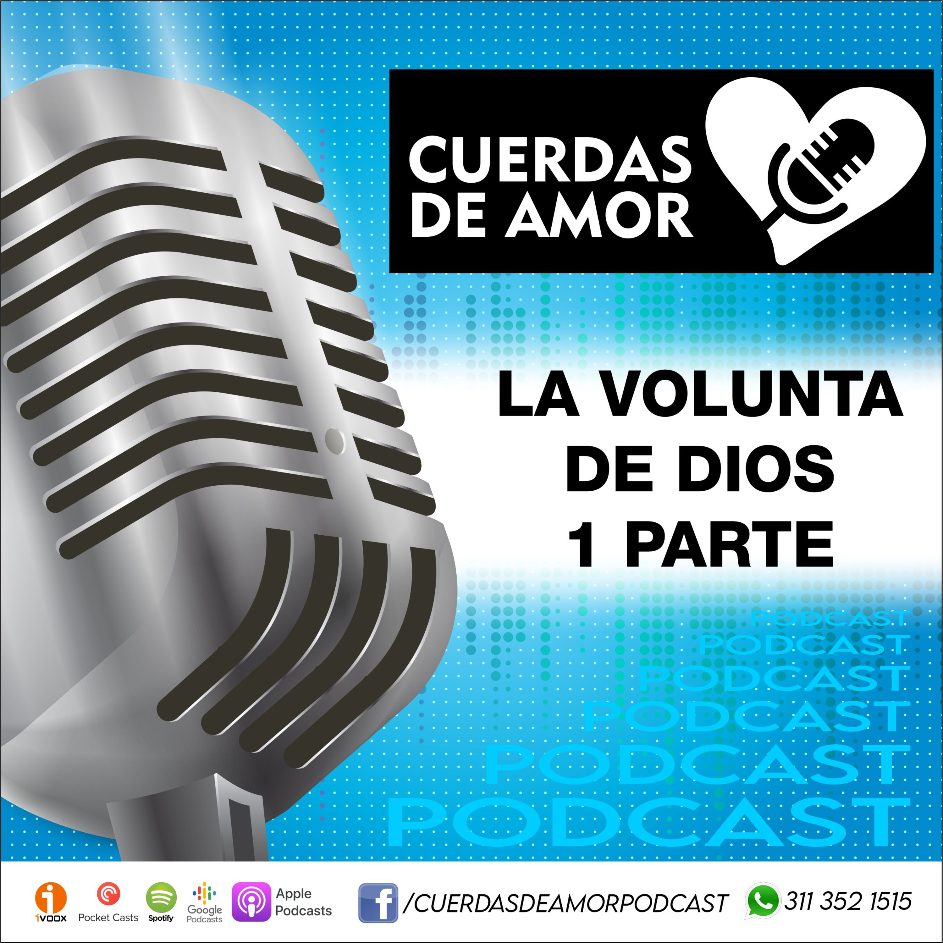 Portada de Cuerdas de amor