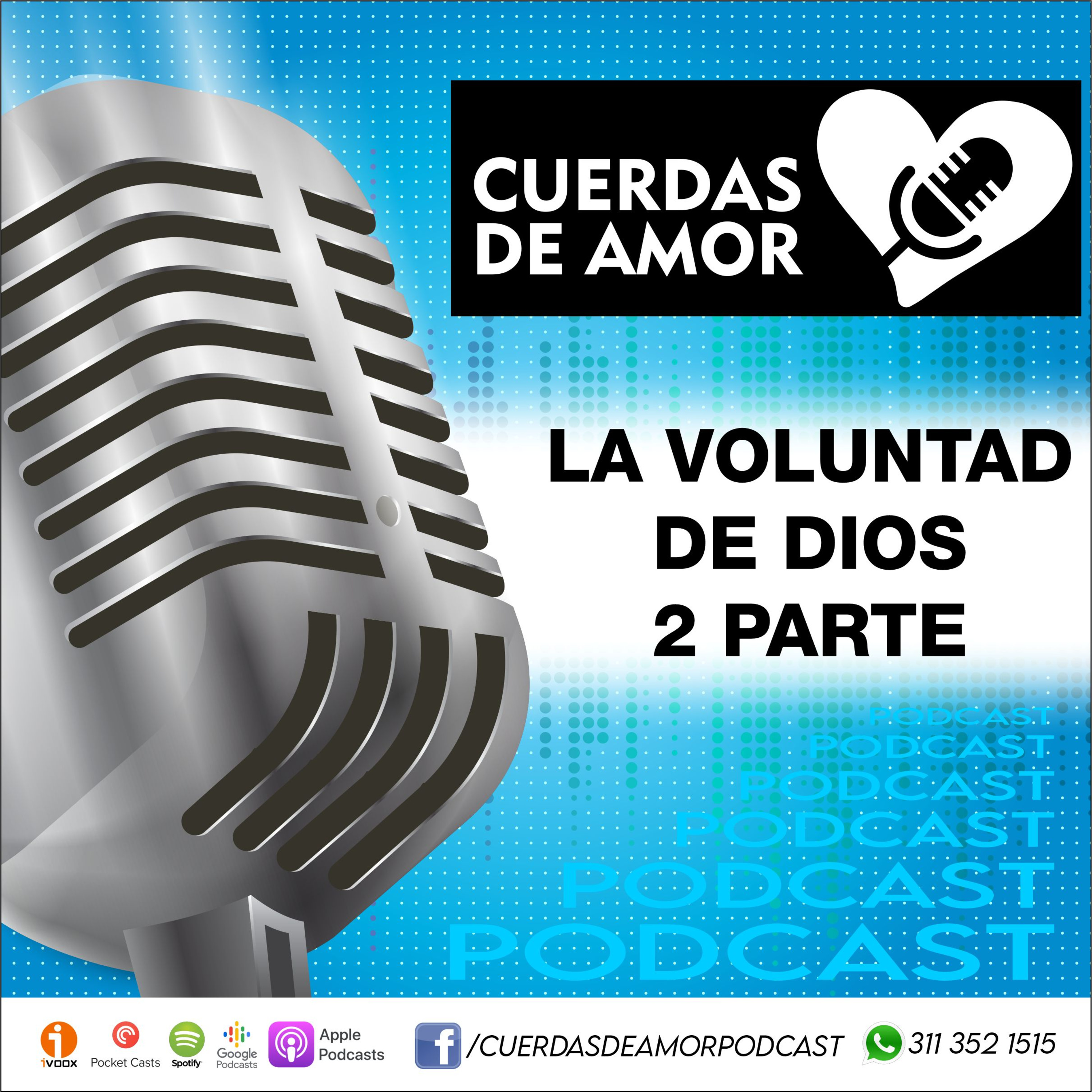 Portada de Cuerdas de amor