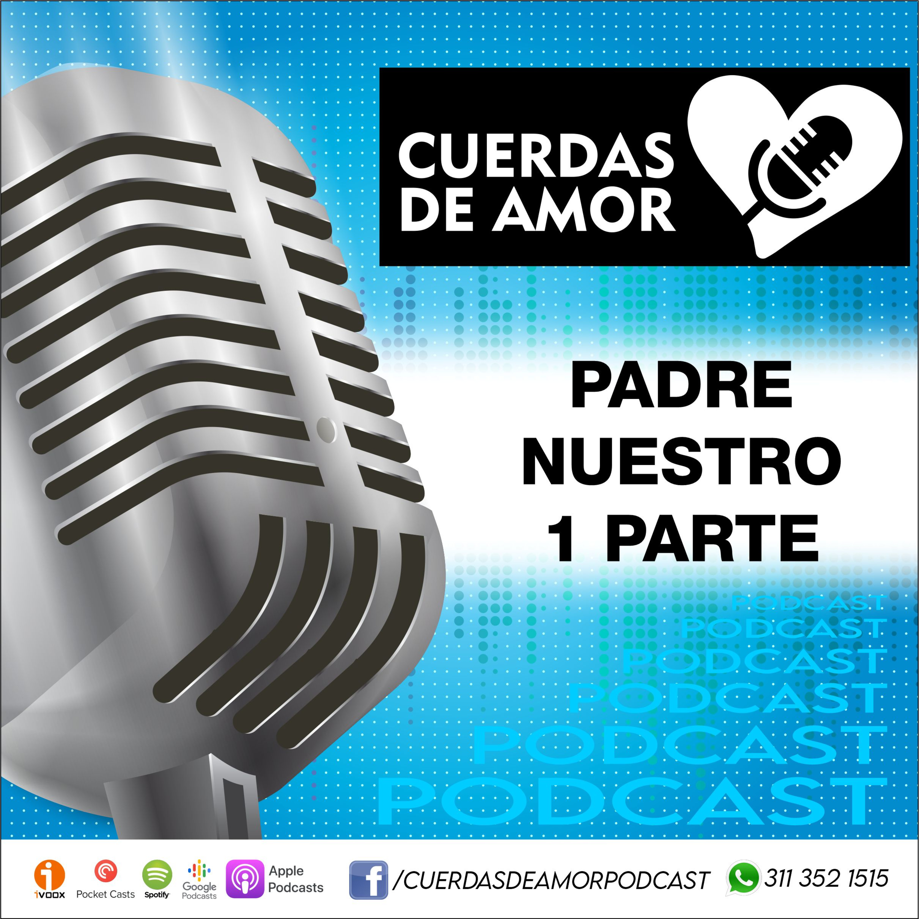 Portada de Cuerdas de amor